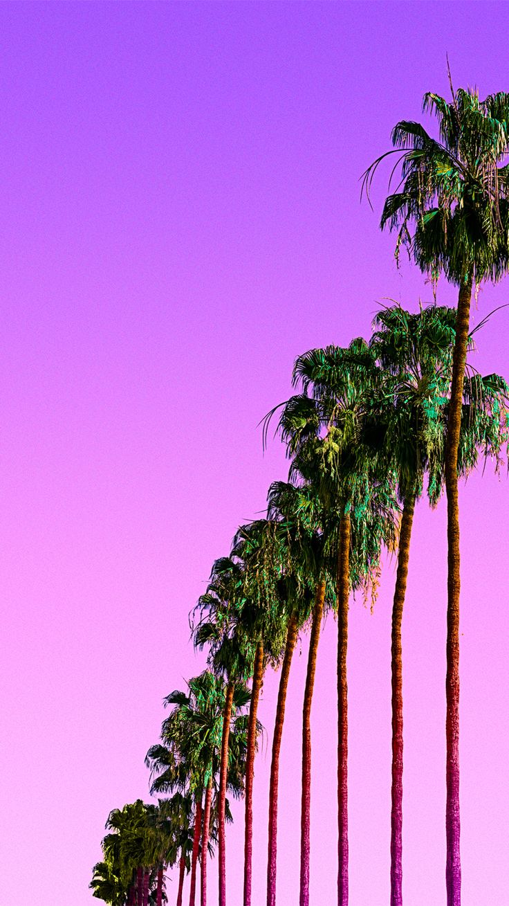 Purple palms iPhone wallpaper. Wallpaper iphone summer, Tree wallpaper purple, Pink wallpaper background
