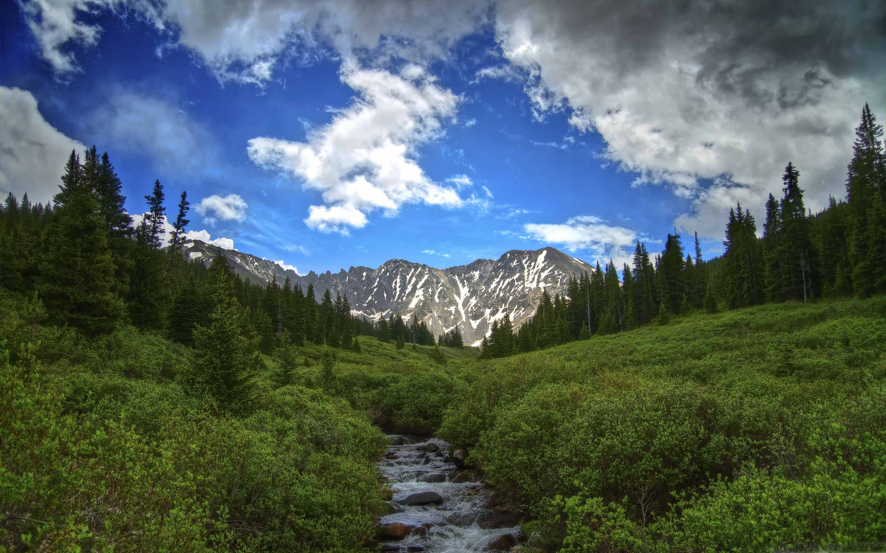 Summer In The High Country MacBook Air Wallpaper Download