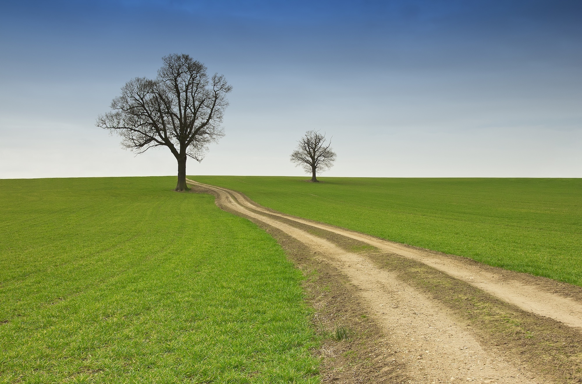 Mobile wallpaper: Nature, Summer, Field, Emptiness, Void, Road, Countryside, Trees, Country, 118715 download the picture for free