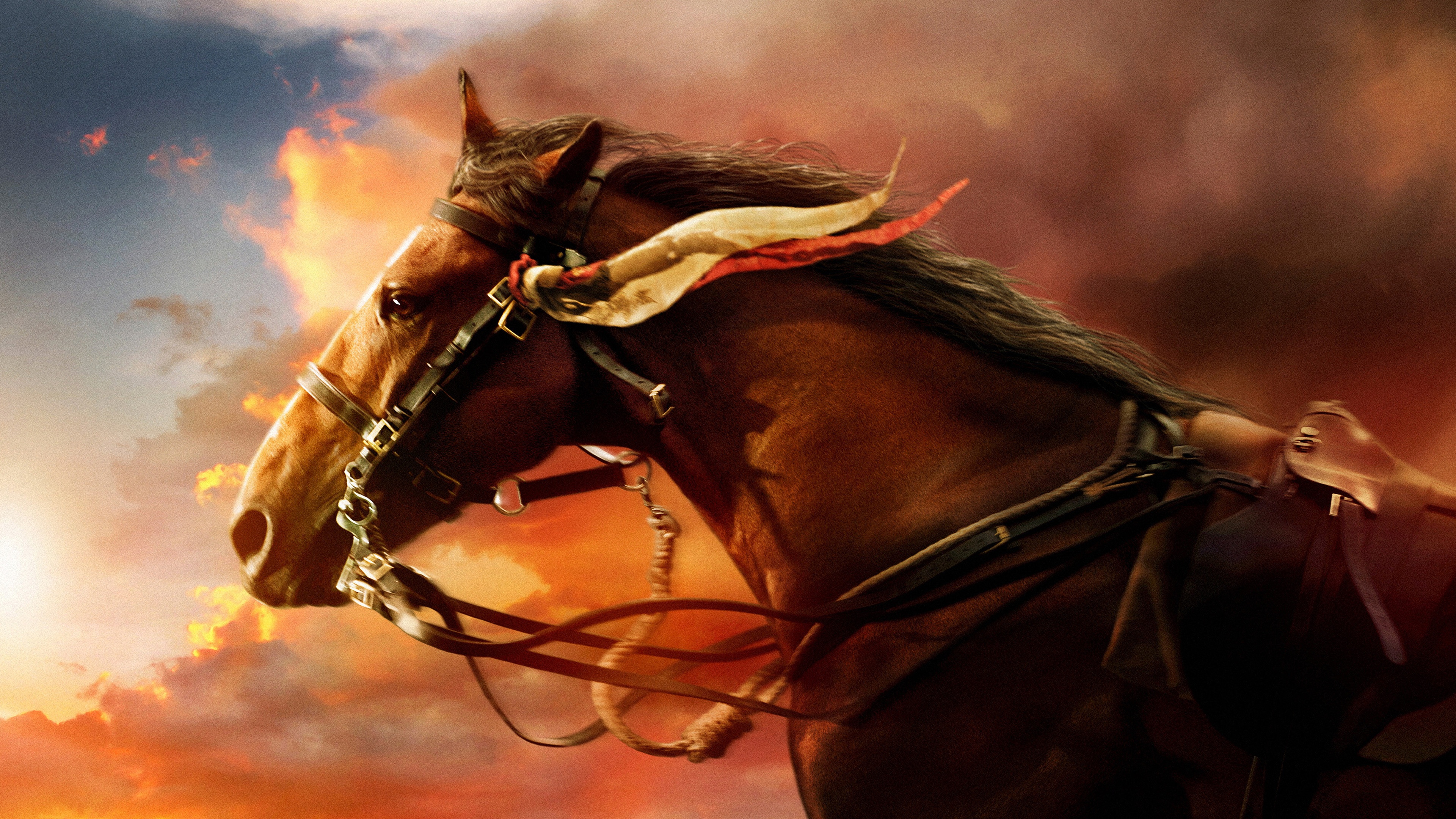 Majestic Horse Ultra HD Wallpaper