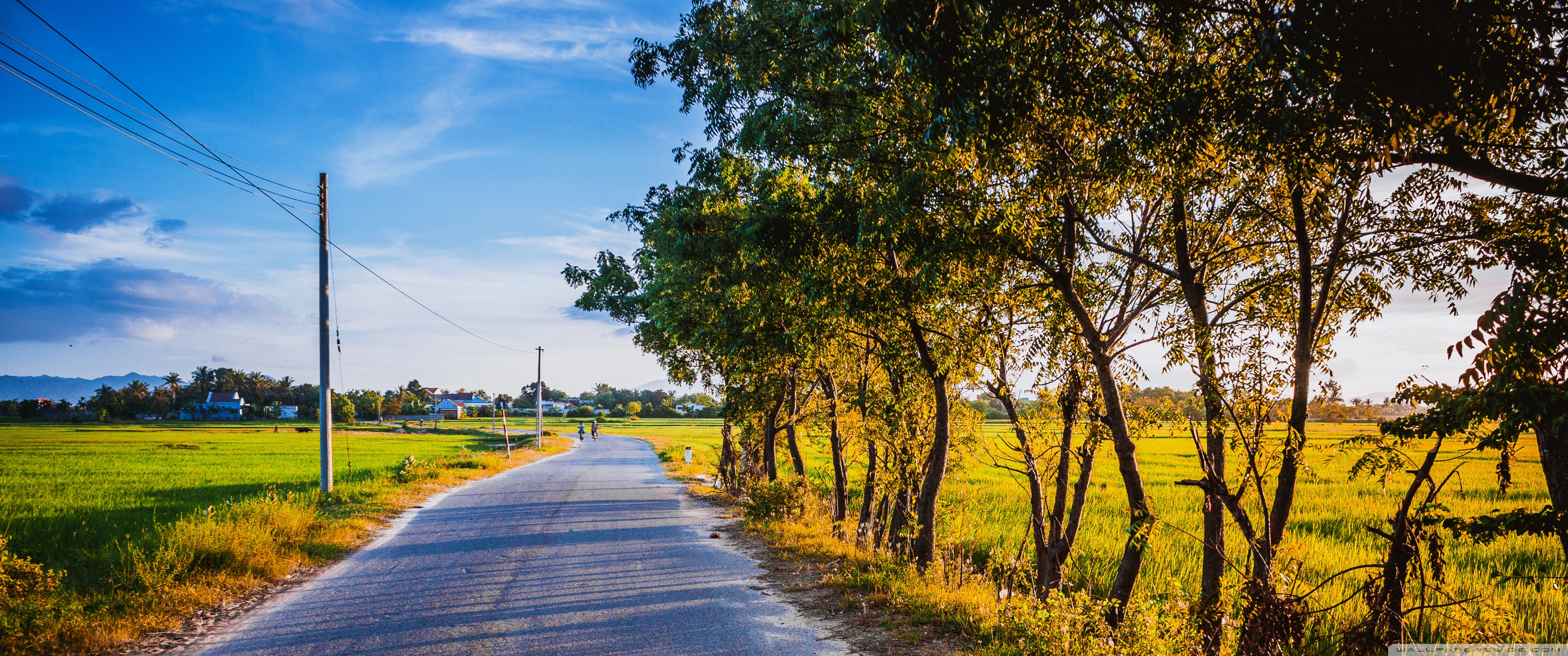 Summer Road Ultra HD Desktop Background Wallpaper for 4K UHD TV, Widescreen & UltraWide Desktop & Laptop, Tablet