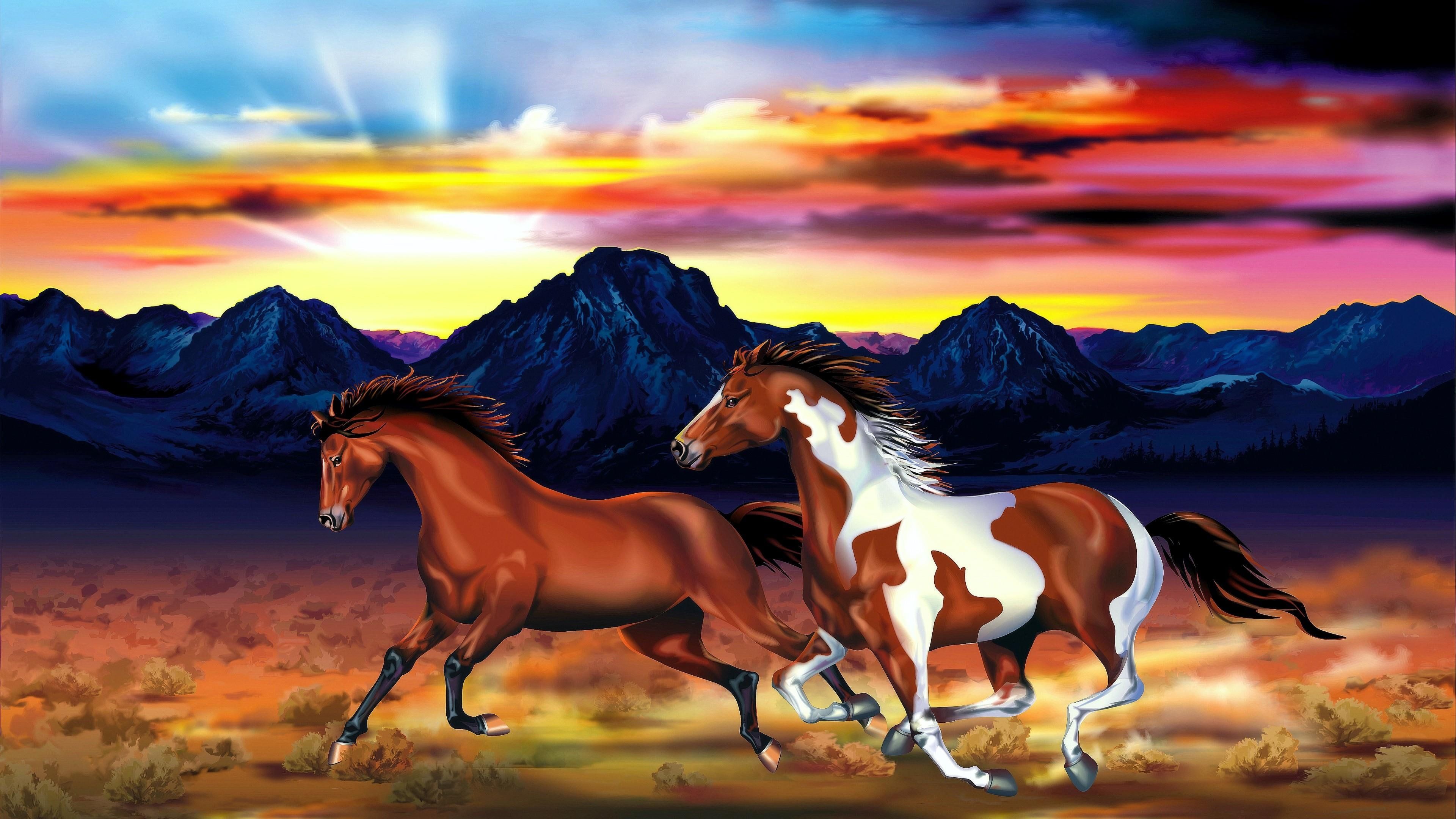 Free download horses horse 4K wallpaper