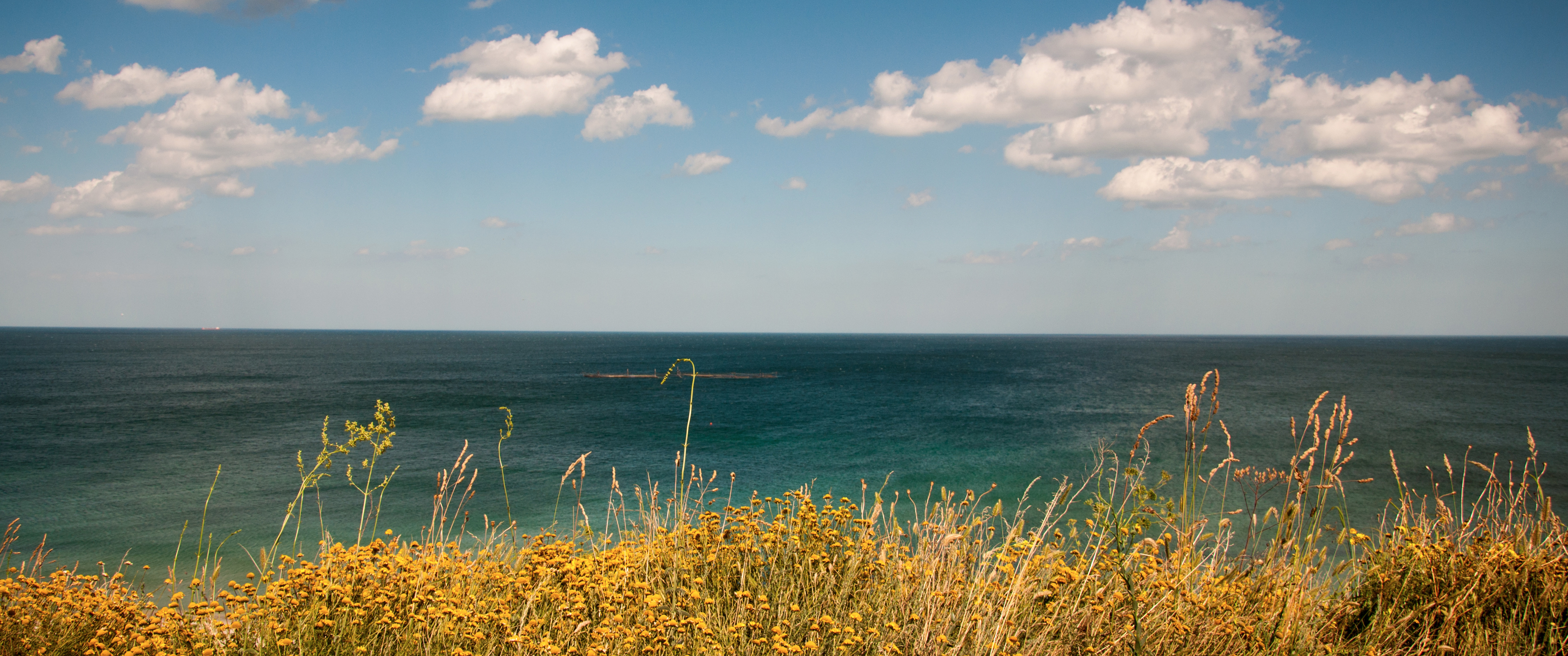 Free download The Golden Coast 219 Wallpaper Ultrawide Monitor 219 Wallpaper [3440x1440] for your Desktop, Mobile & Tablet. Explore 21 9 Ultra Widescreen Wallpaper. Mig 21 Wallpaper, 21 9 Wallpaper, 21 Savage Wallpaper