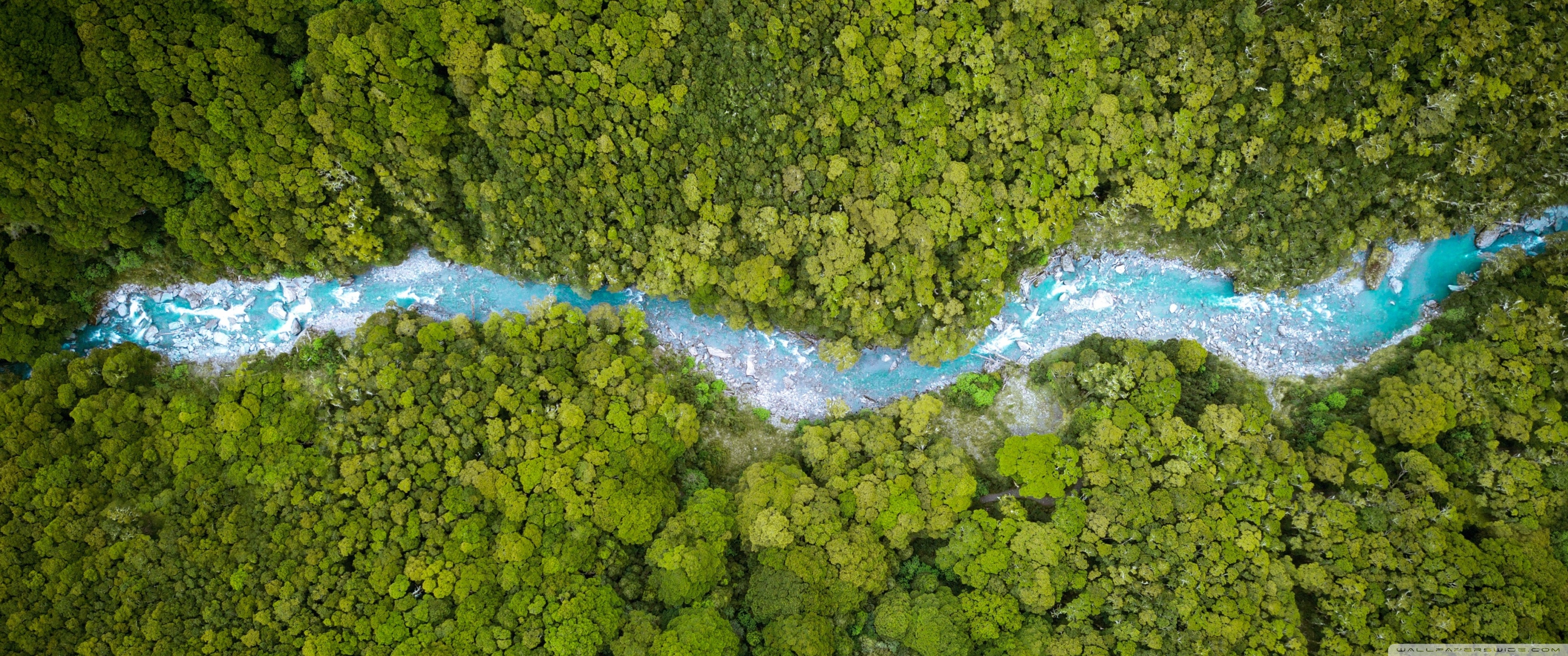 Aerial View, Forest Creek, Summer, Nature Ultra HD Desktop Background Wallpaper for 4K UHD TV, Widescreen & UltraWide Desktop & Laptop, Tablet