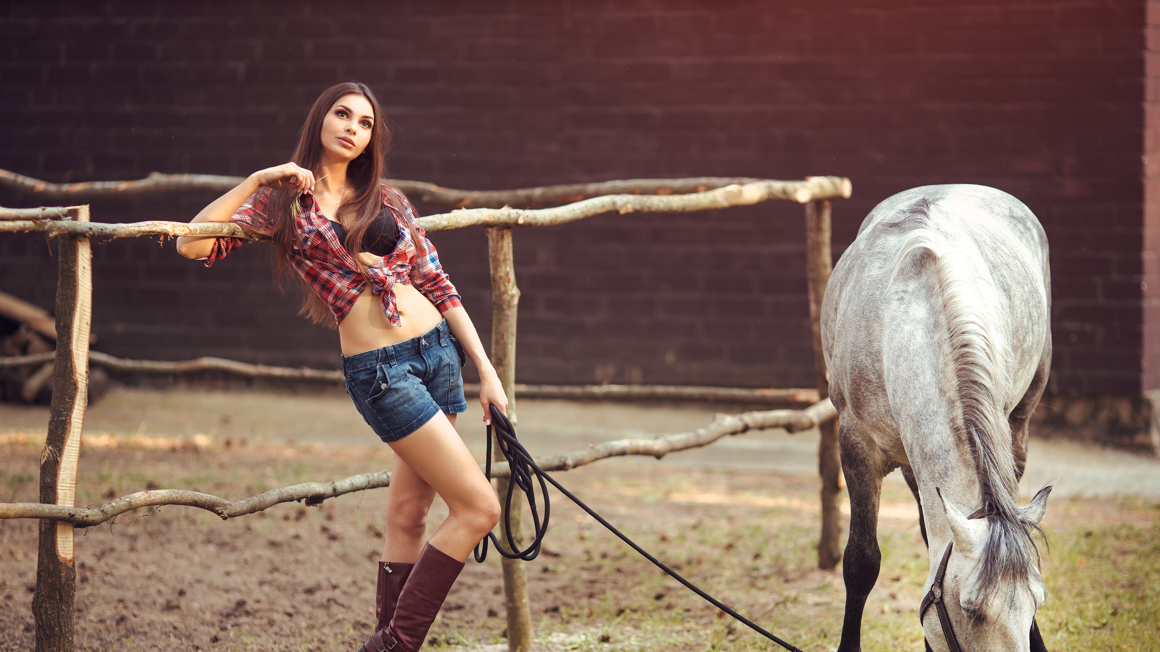 Wallpaper Girl and horse, summer dress 3840x2160 UHD 4K Picture, Image