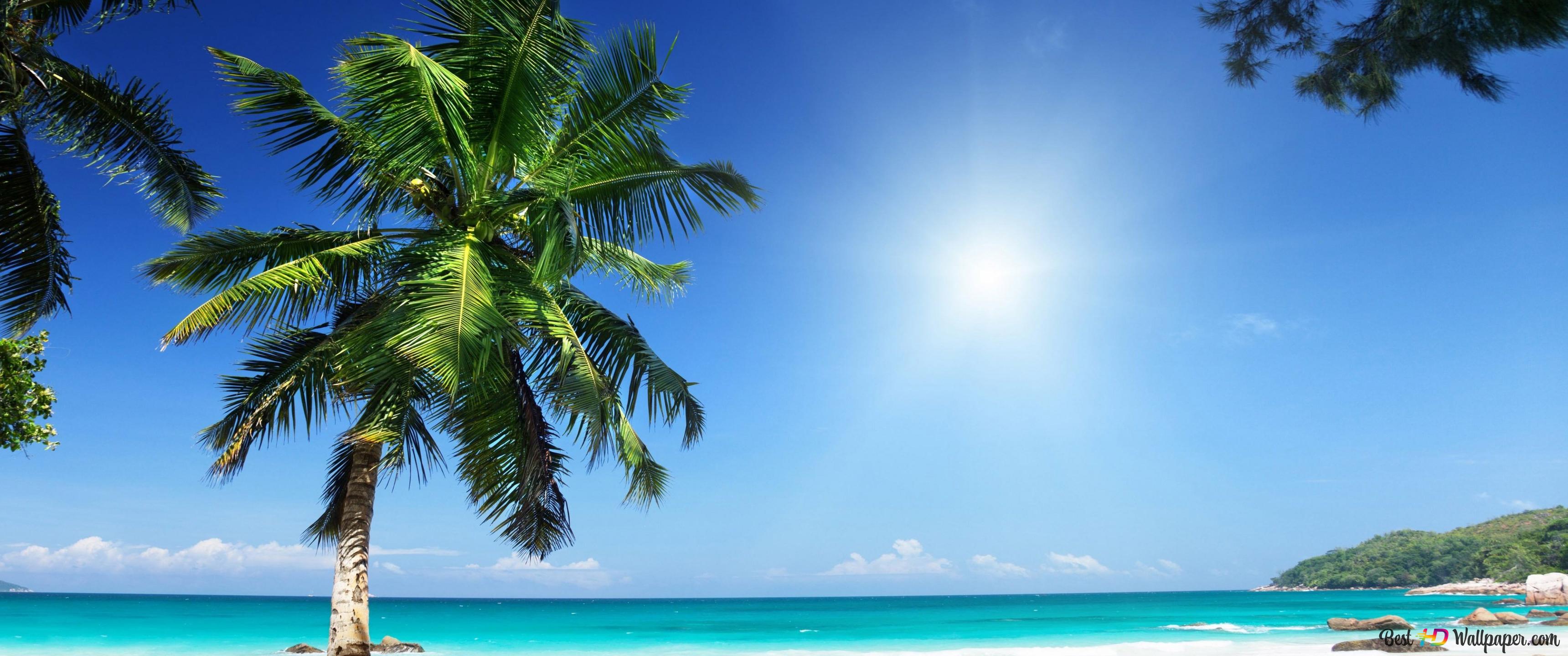 Blazing hot summer 4K wallpaper download