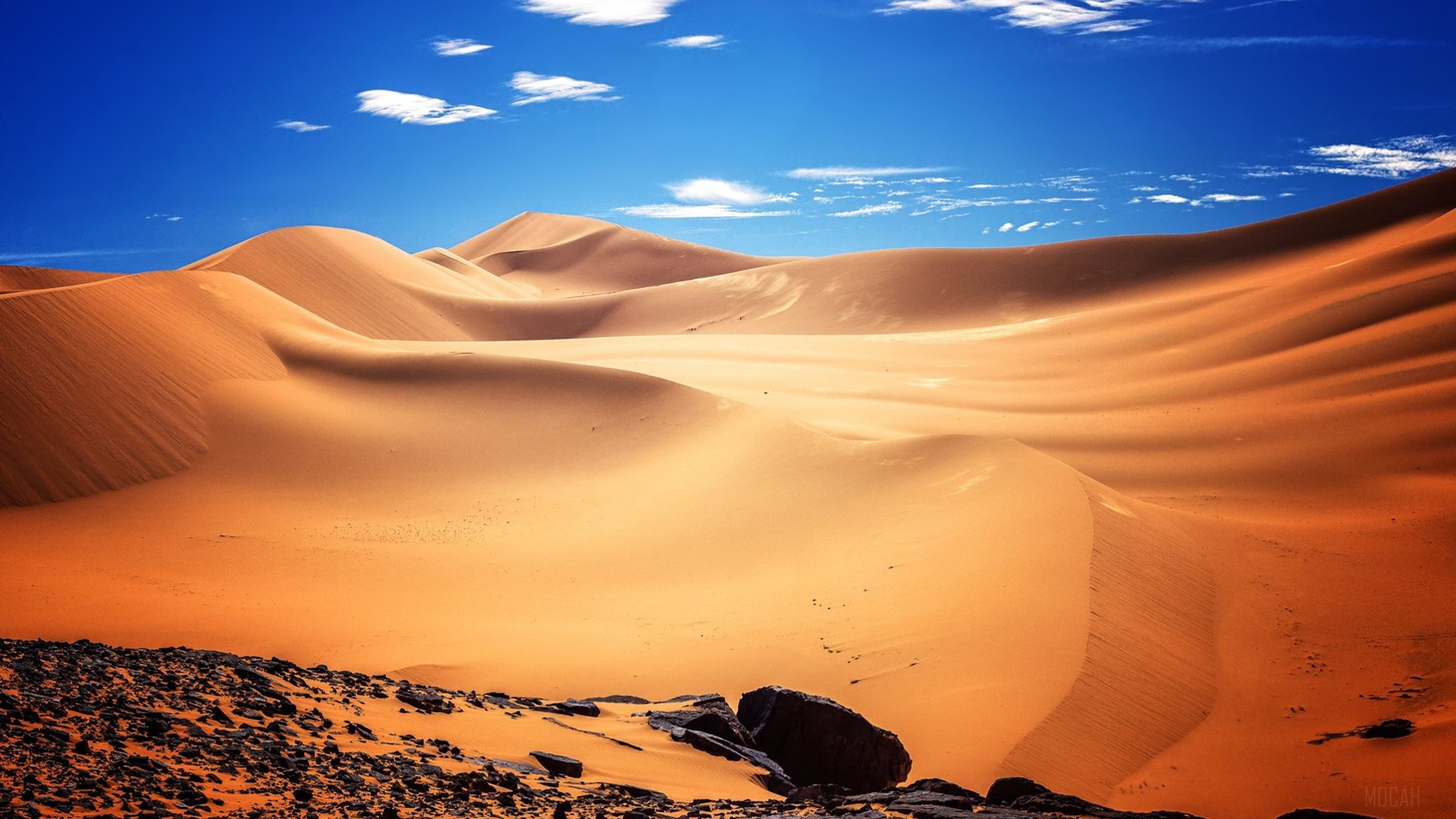 Africa Algeria Desert 4k Gallery HD Wallpaper