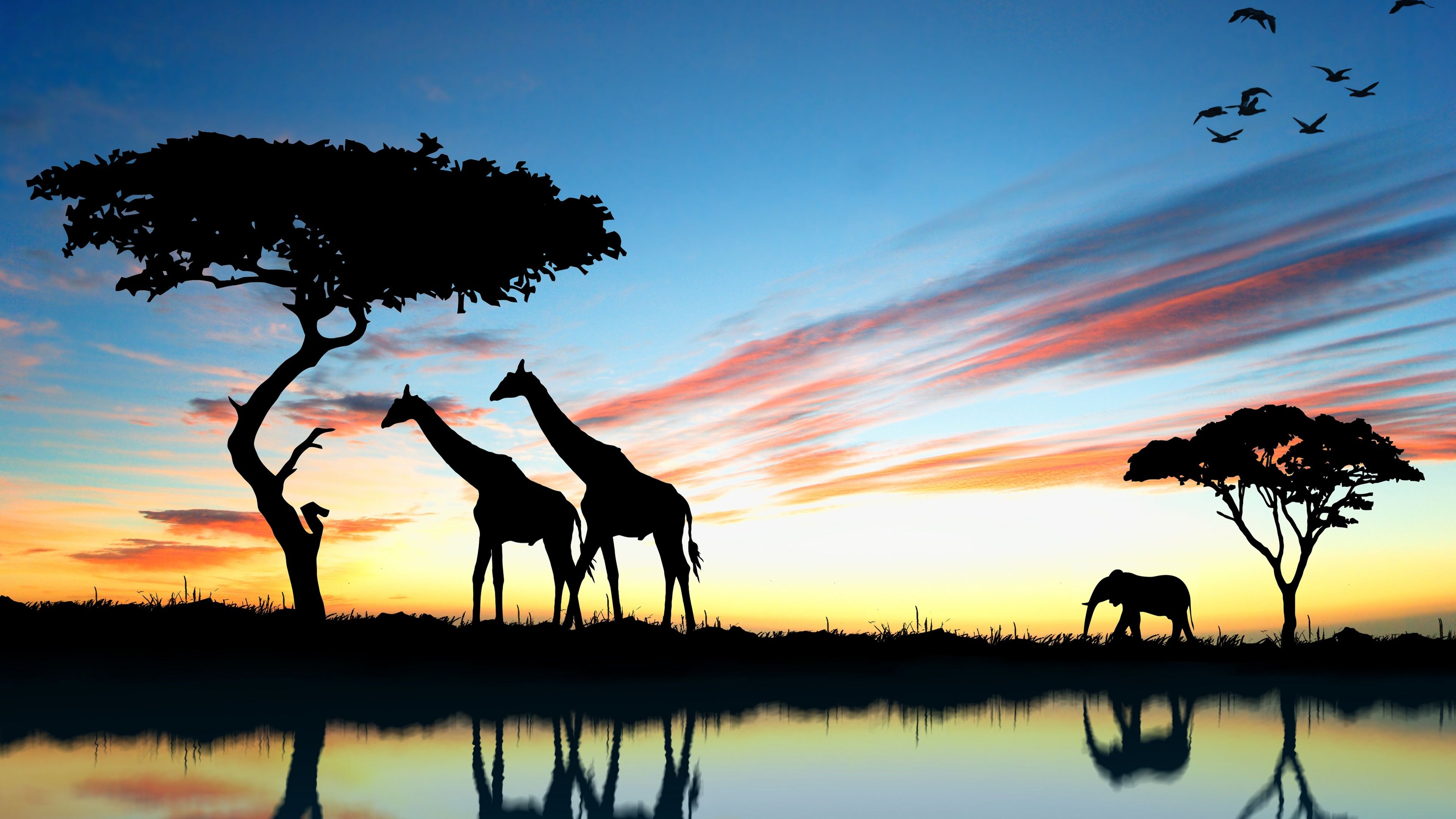 Free download Africa 4K Wallpaper Top Free Africa 4K Background [3840x2160] for your Desktop, Mobile & Tablet. Explore Wallpaper Africa. Africa Map Wallpaper, Africa Wallpaper, South Africa Wallpaper