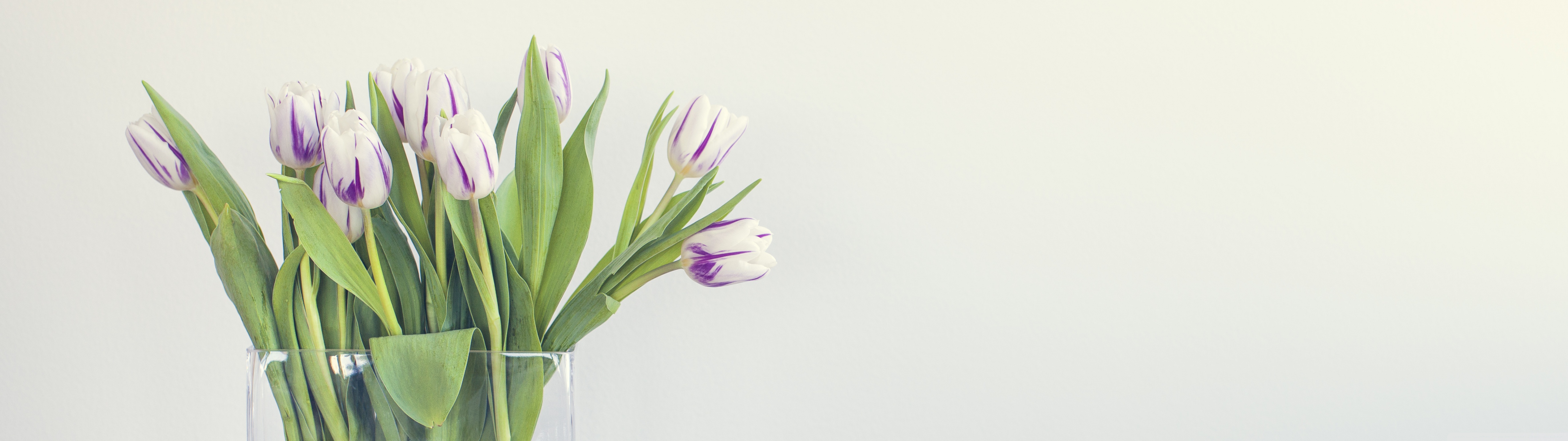 Spring is Here Ultra HD Desktop Background Wallpaper for: Widescreen & UltraWide Desktop & Laptop, Multi Display, Dual Monitor, Tablet