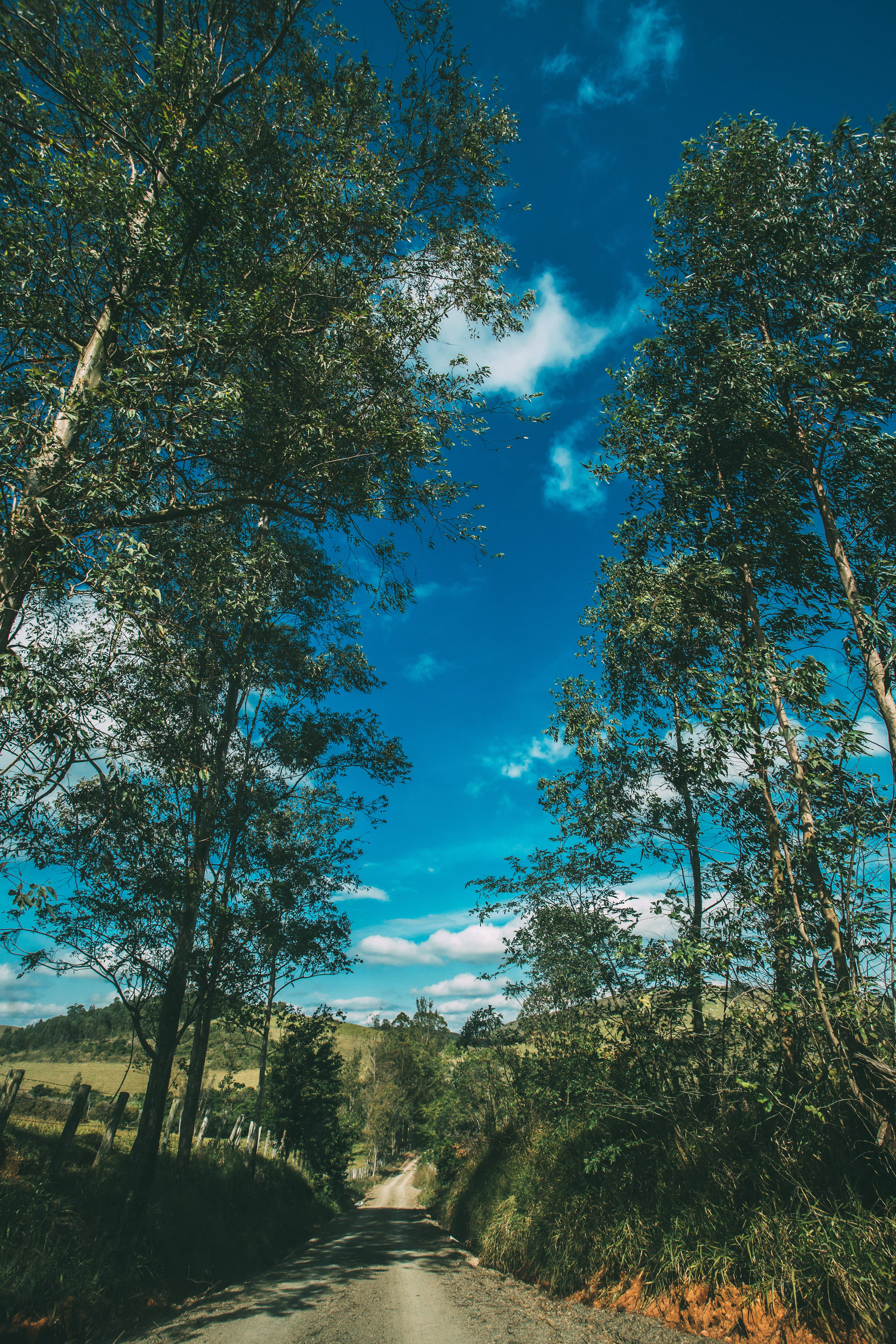 Download Summer Vibes Wallpaper