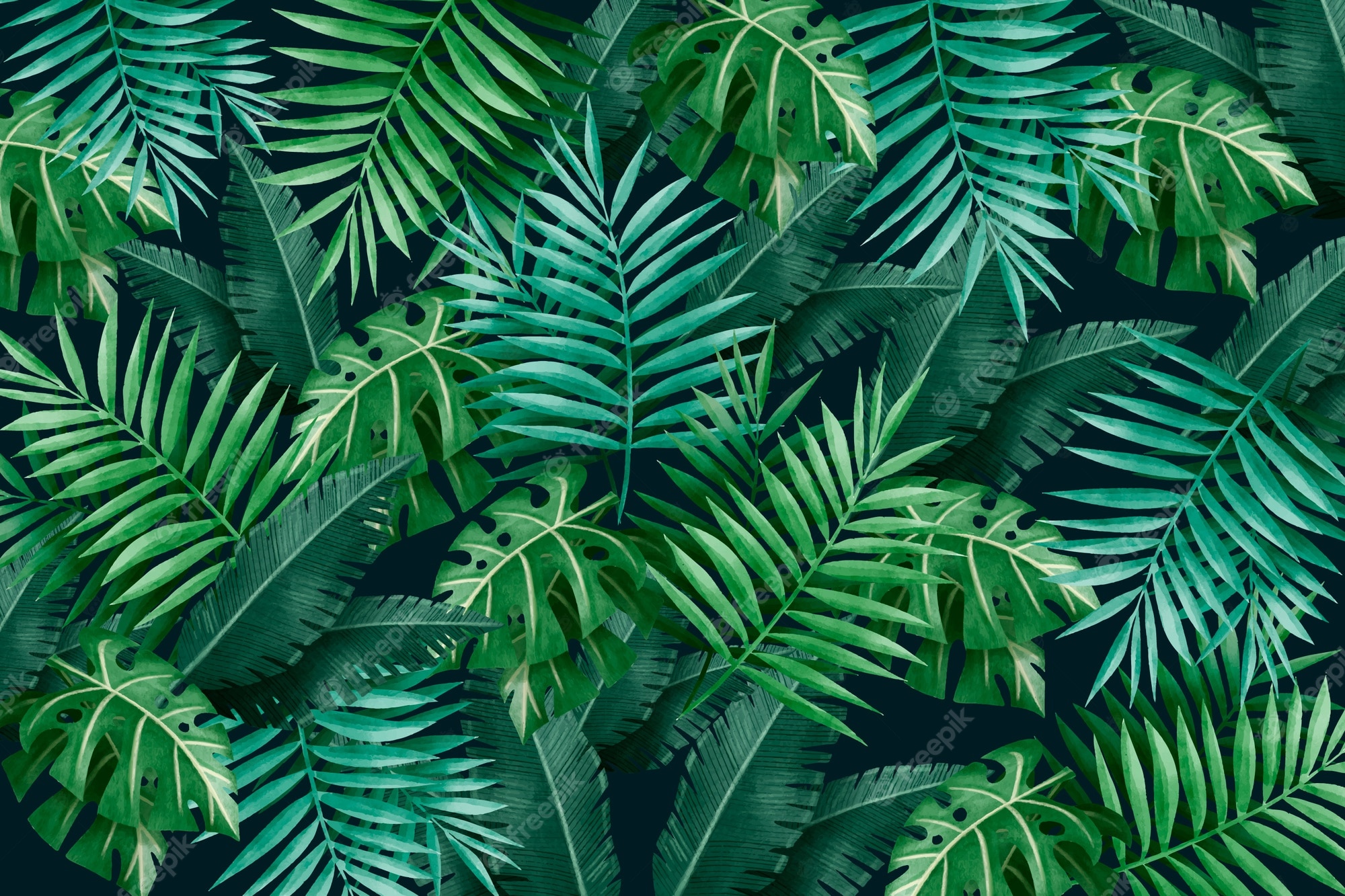 Tropical Leaves Wallpaper Image