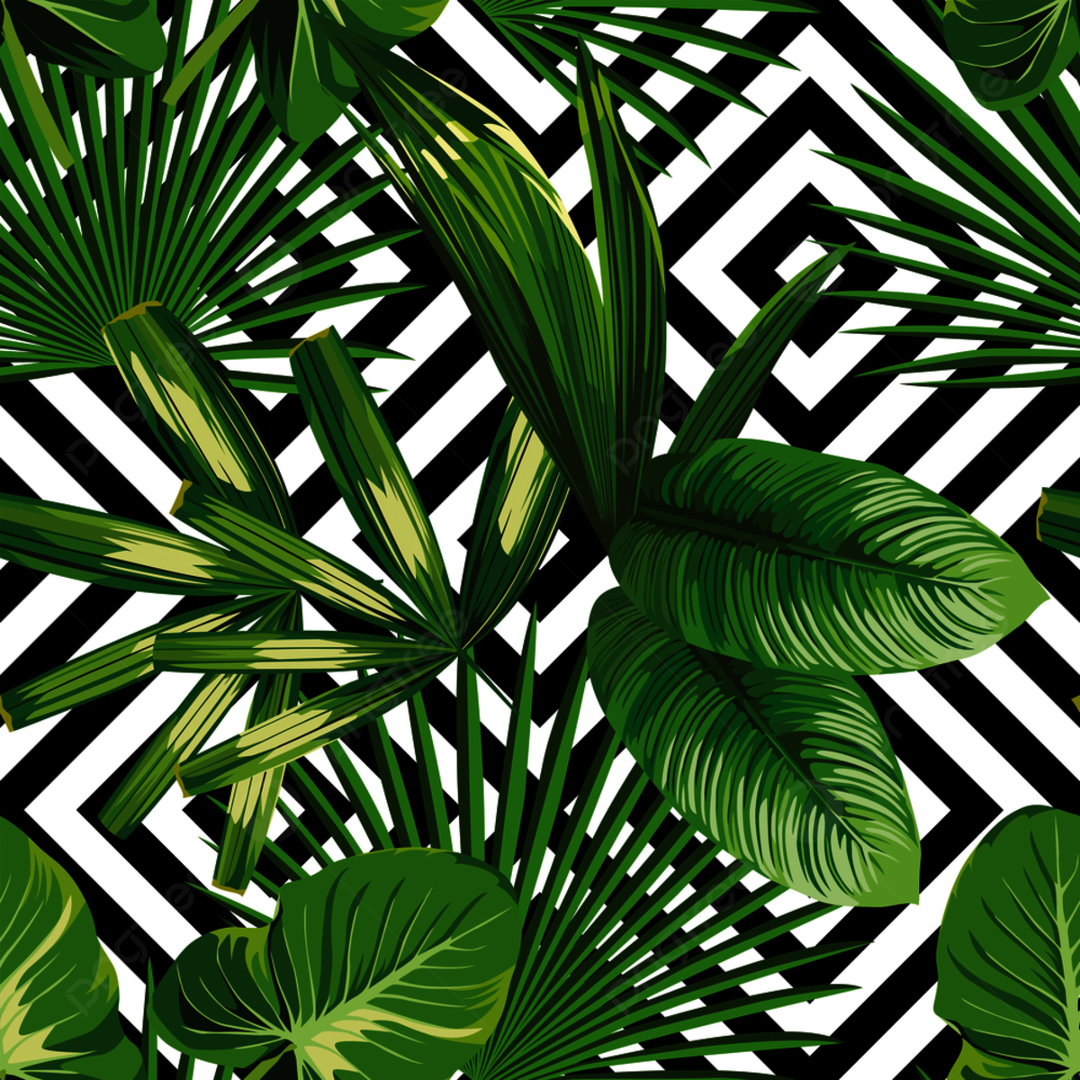 Print Summer Exotic Jungle Plant Tropical Palm Leaves Background, Vacation, Leaf, Style Background Image And Wallpaper for Free Download