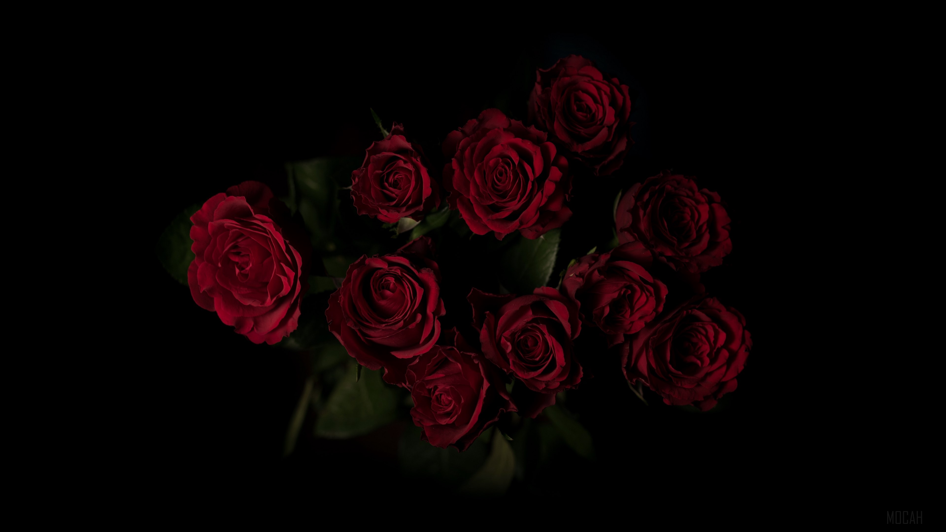 roses, bouquet, red, dark background 4k Gallery HD Wallpaper