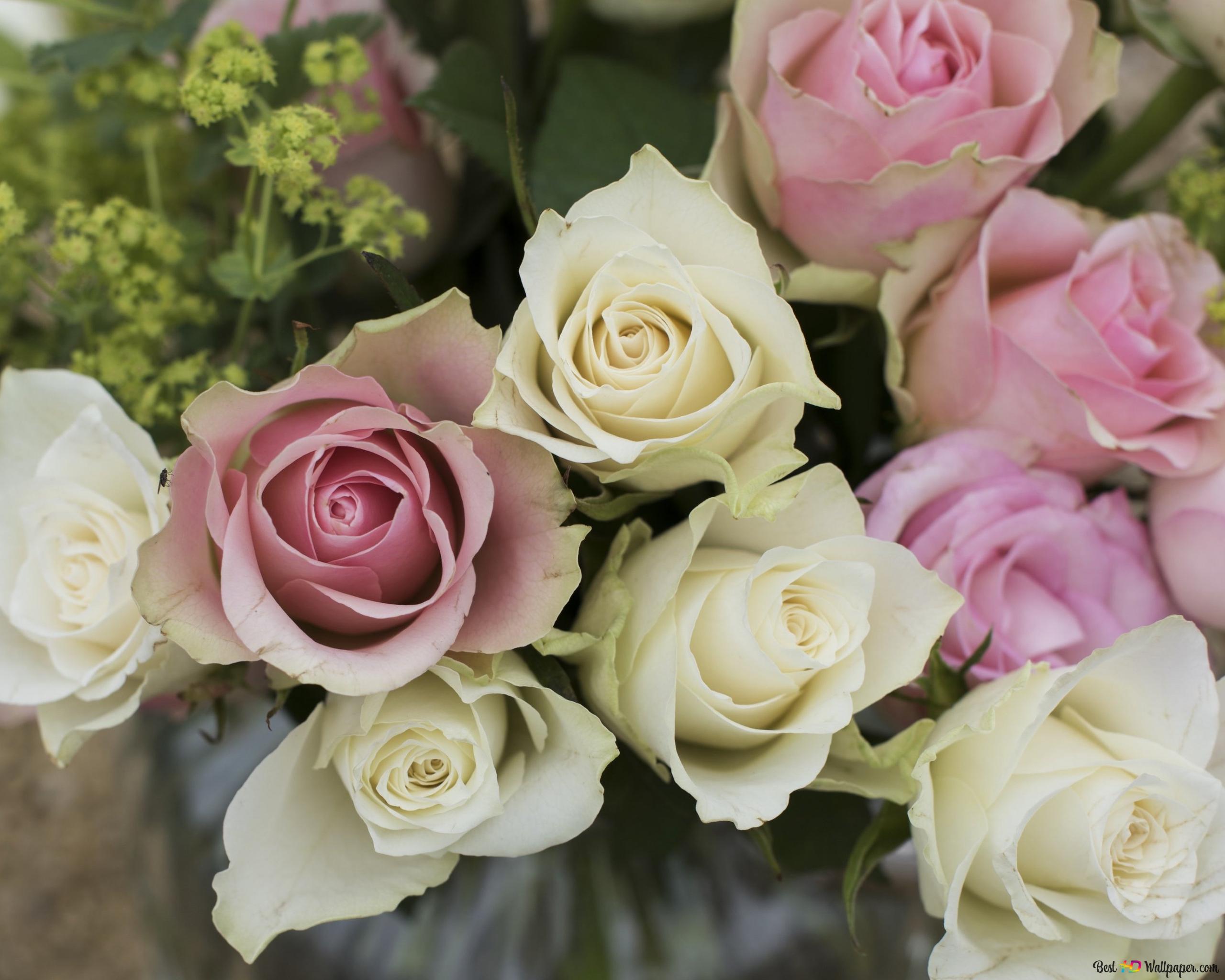 Bouquet of roses 4K wallpaper download
