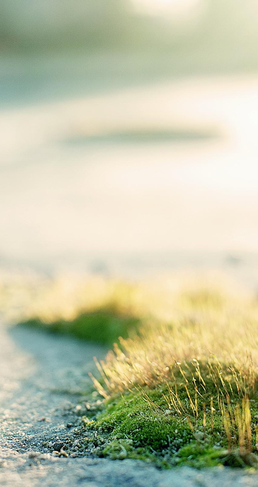 Good morning summer season