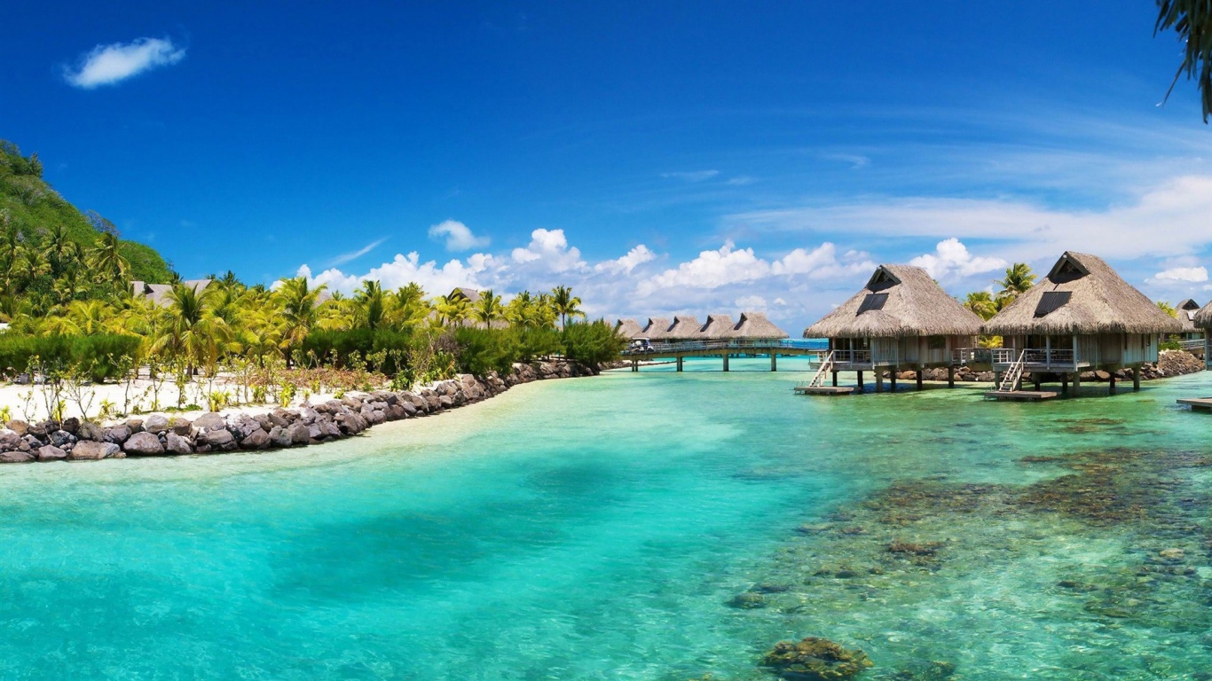 Summer desktop PC and Mac wallpaper