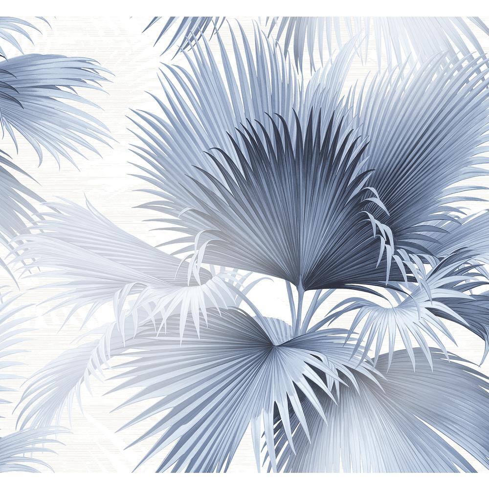 A Street Prints Summer Palm Blue Tropical Wallpaper Sample 2927 40102SAM Home Depot