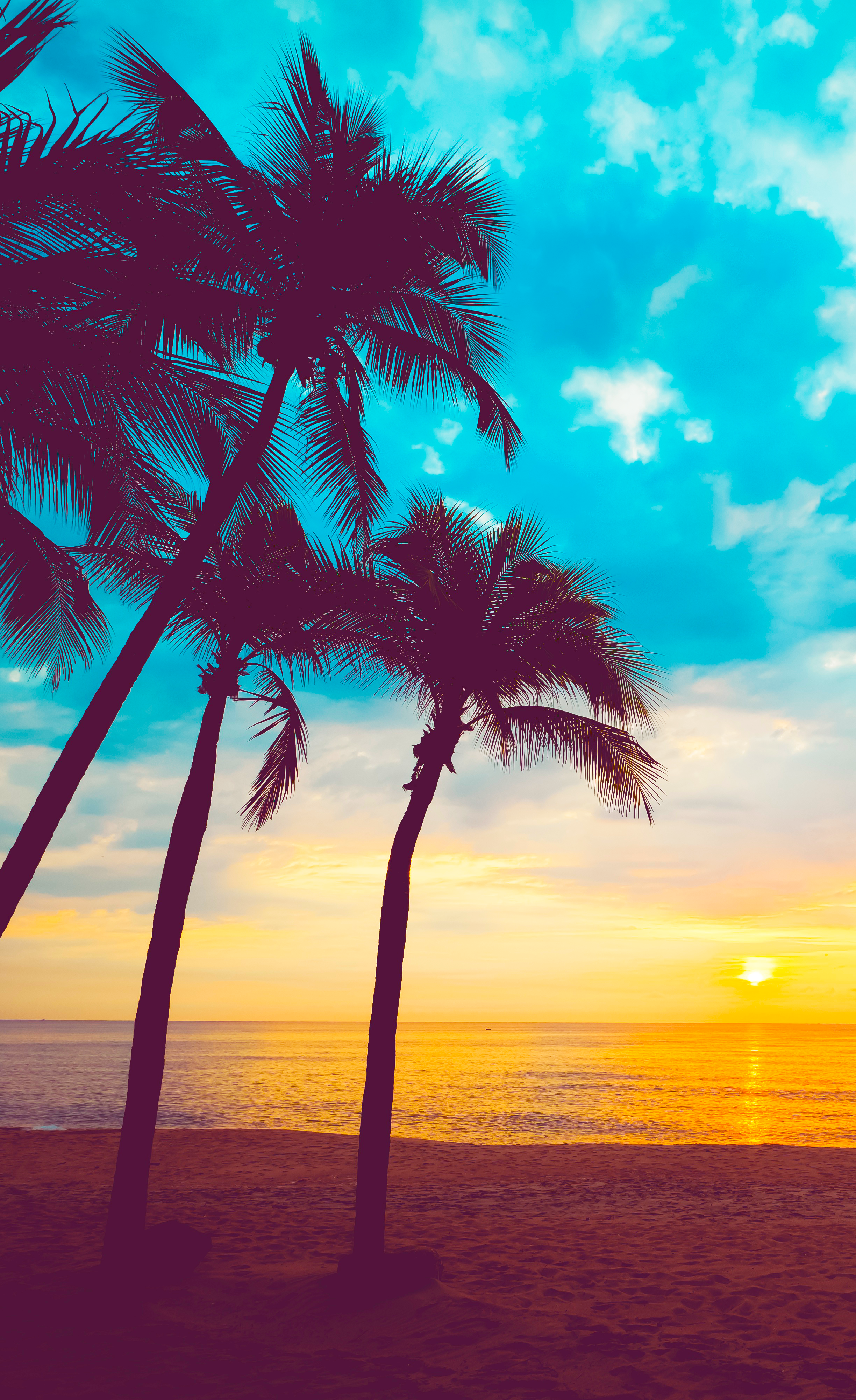 Summer Beach Palm Tree Wallpaper Free Summer Beach Palm Tree Background