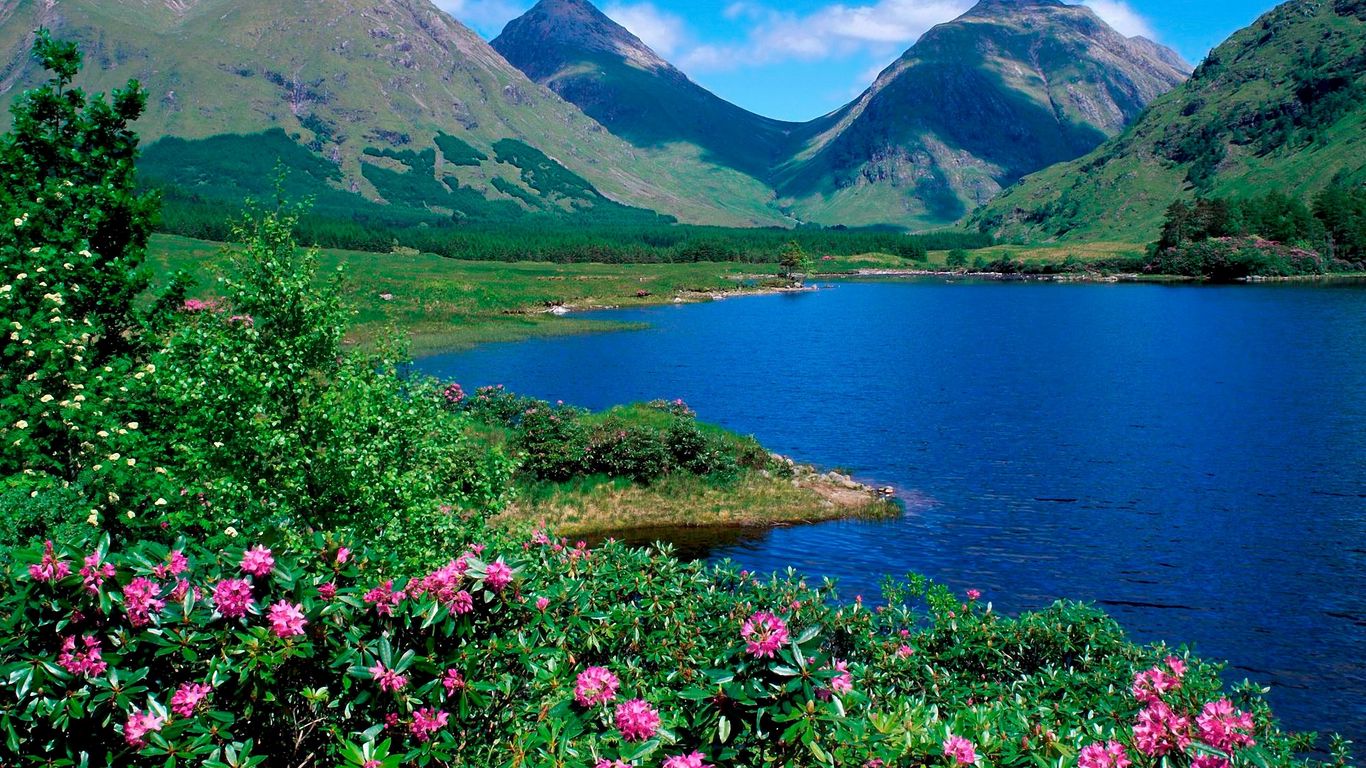 Download wallpaper 1366x768 mountains, lake, flowers, slopes, greens, grass, summer tablet, laptop HD background