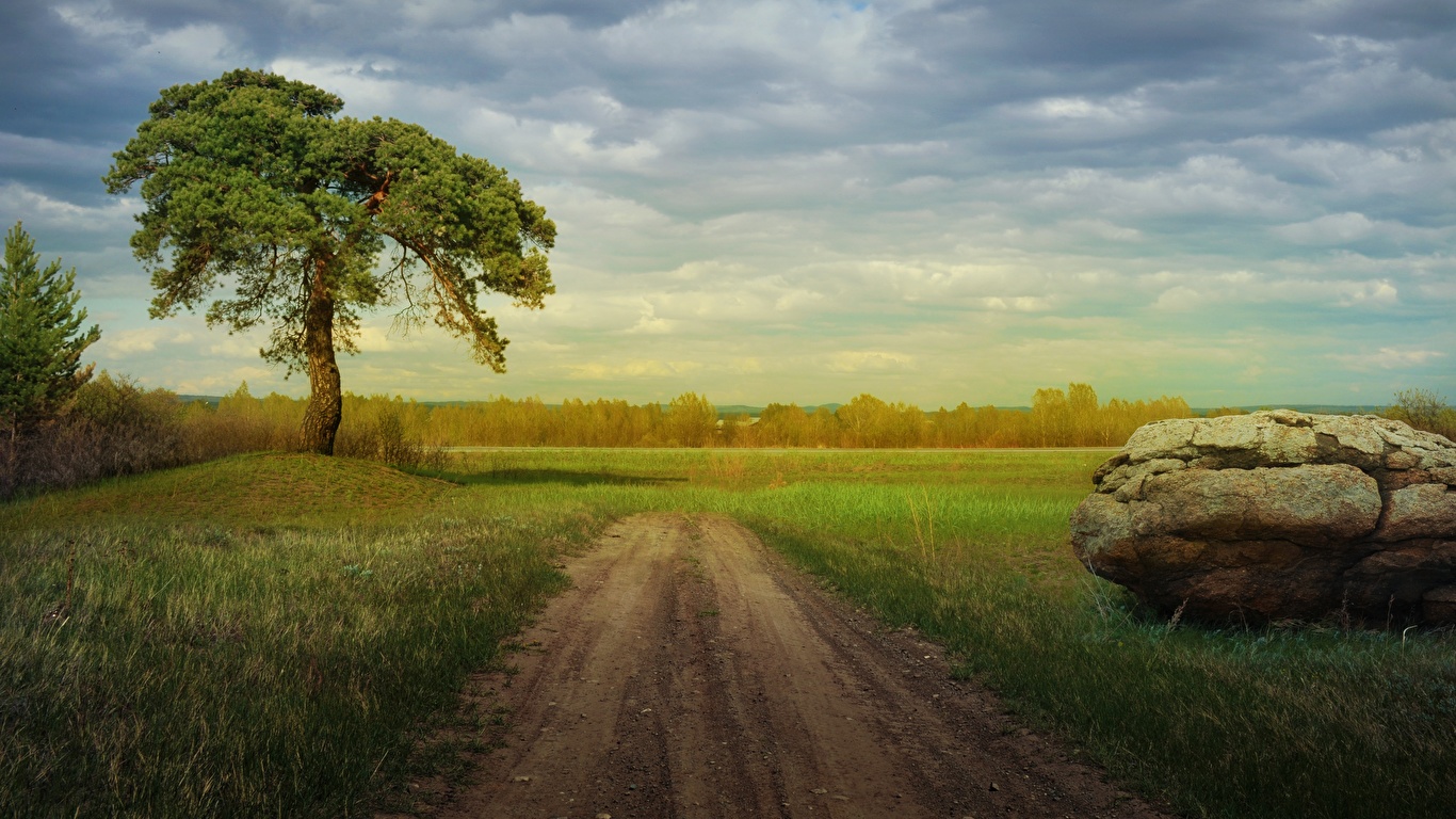 Picture Summer Nature Roads Grass Stones Trees 1366x768