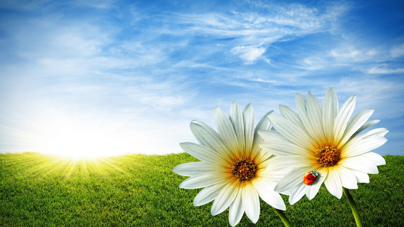 Free download summer wallpaper nature summer wallpaper nature summer wallpaper [1366x768] for your Desktop, Mobile & Tablet. Explore Summer Wallpaper for My Desktop. Summer Wallpaper For Desktop, Summer Wallpaper
