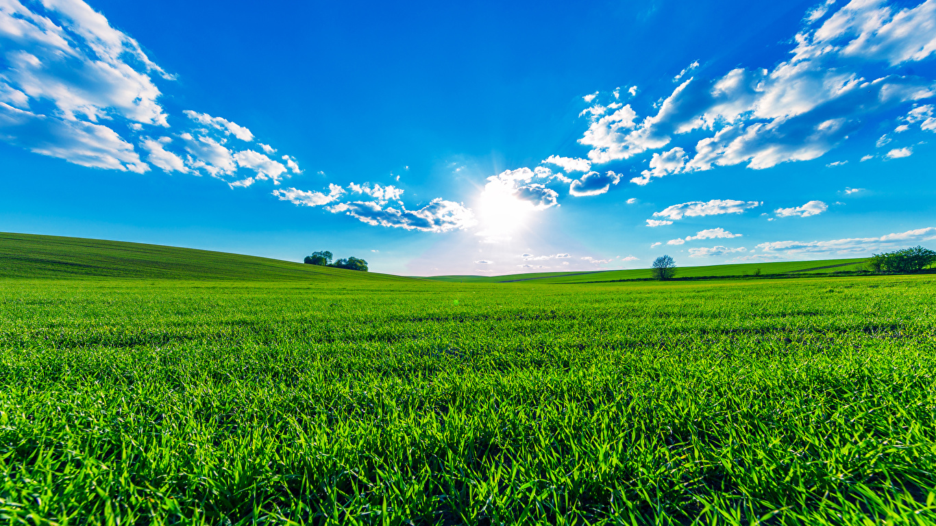 Desktop Wallpaper Summer Nature Sky Fields Scenery Clouds 1366x768