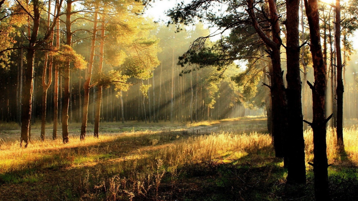 Summer Sunrise desktop PC and Mac wallpaper
