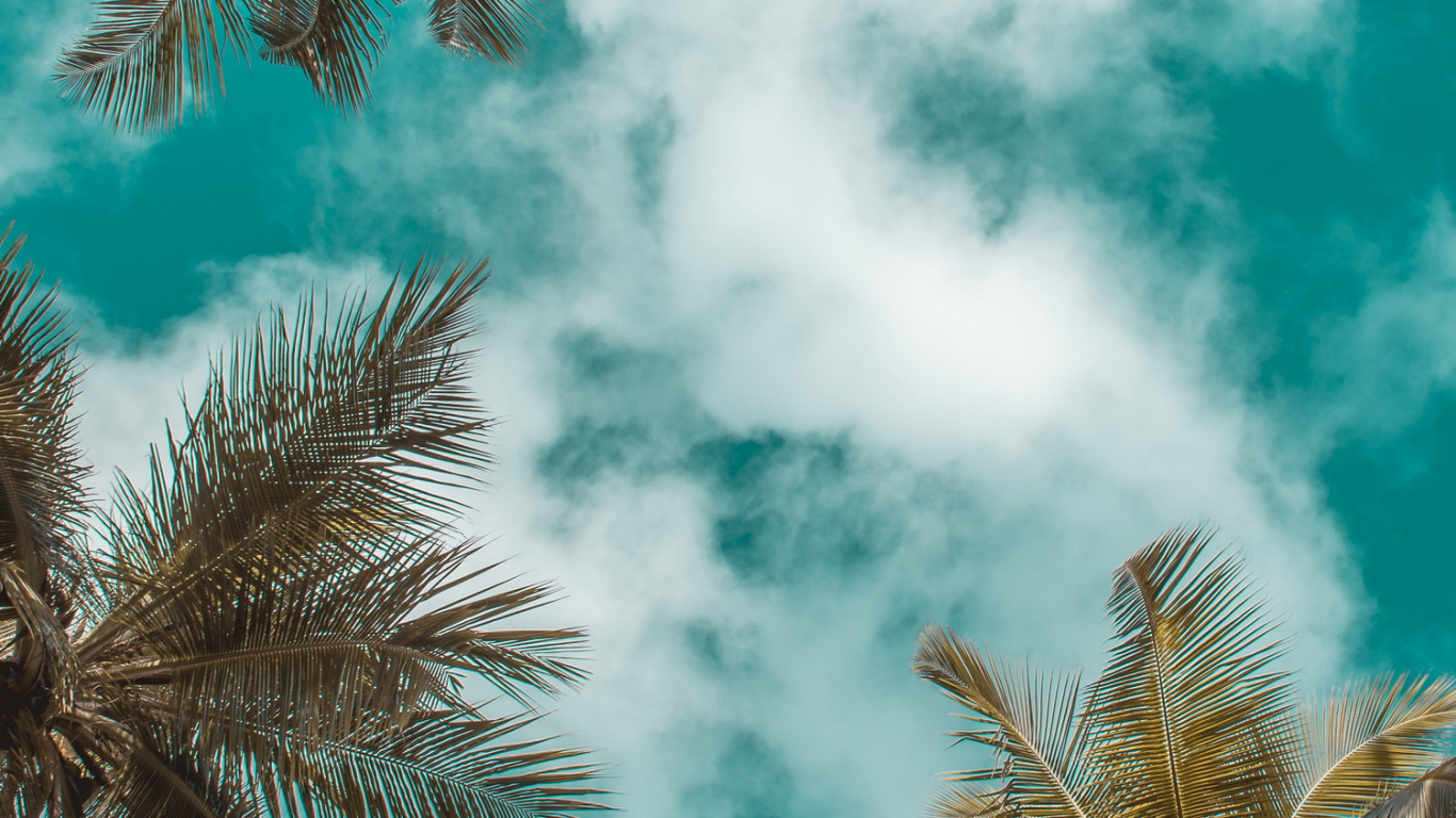 Summer Laptop Wallpaper, HD Summer 1366x768 Background, Free Image Download
