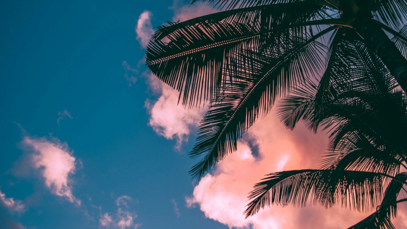 Summer Laptop Wallpaper, HD Summer 1366x768 Background, Free Image Download