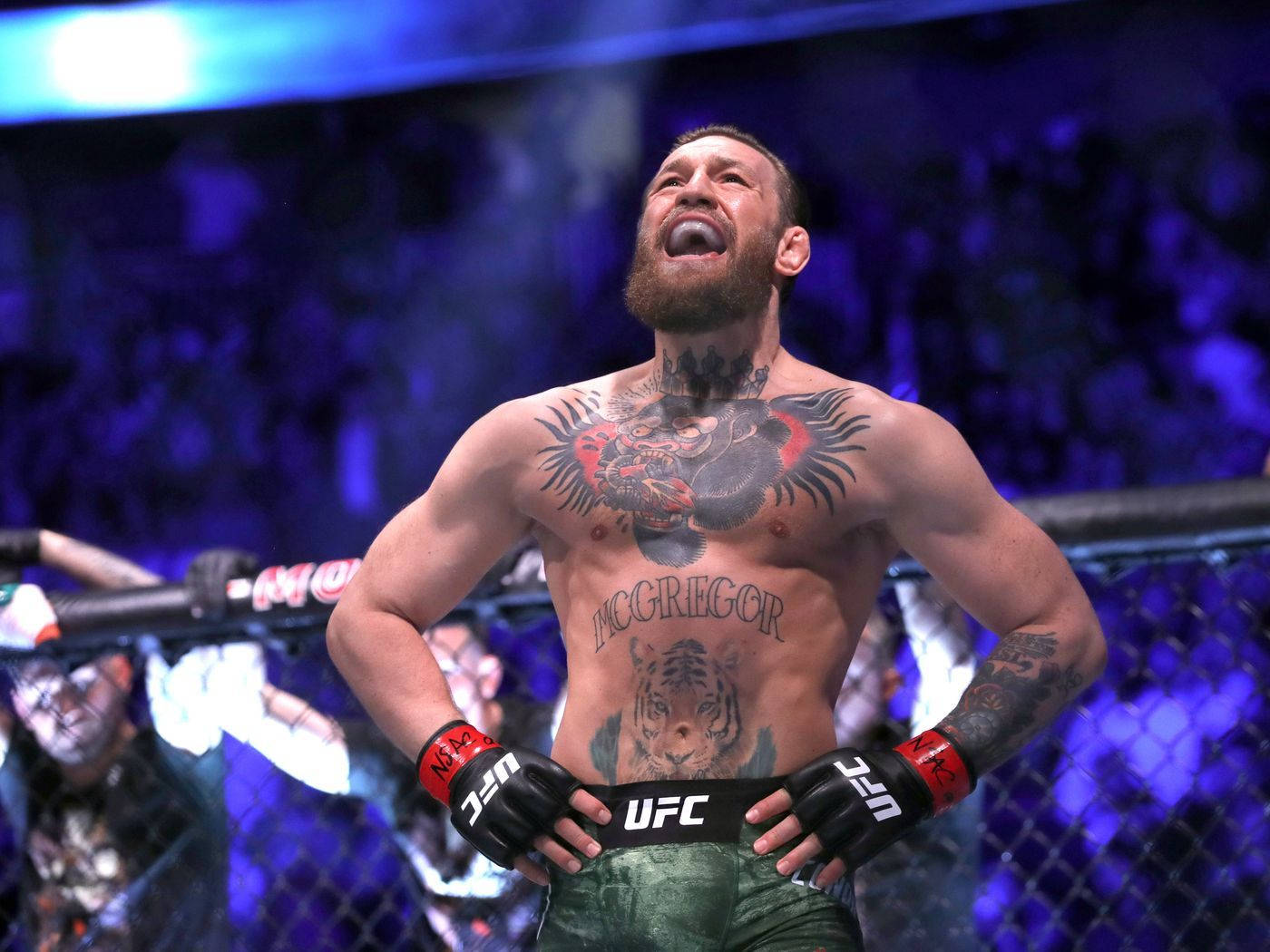 Download Ufc Conor Mcgregor On Ring 4k Wallpaper