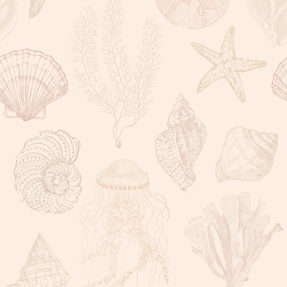 Summer Seashells Wallpaper in Terracotta. I Love Wallpaper