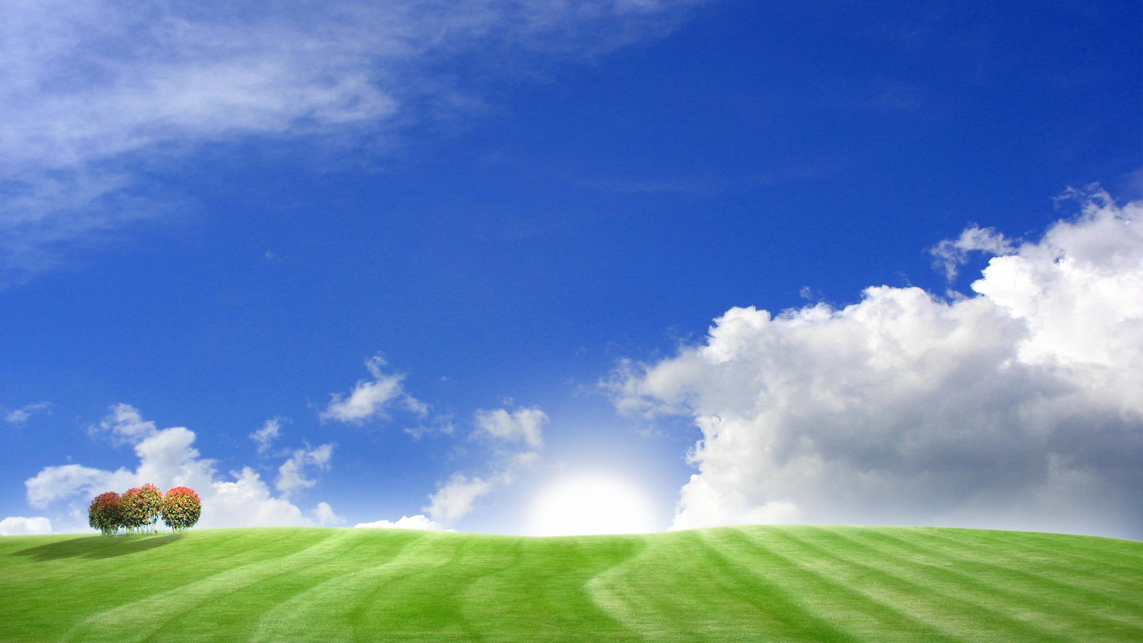 Blue sky and green field summer HD wallpaper