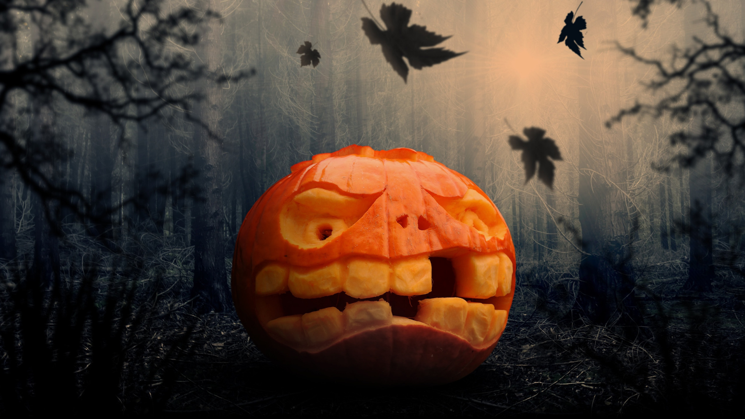 Download wallpaper: Halloween pumpkin 2560x1440
