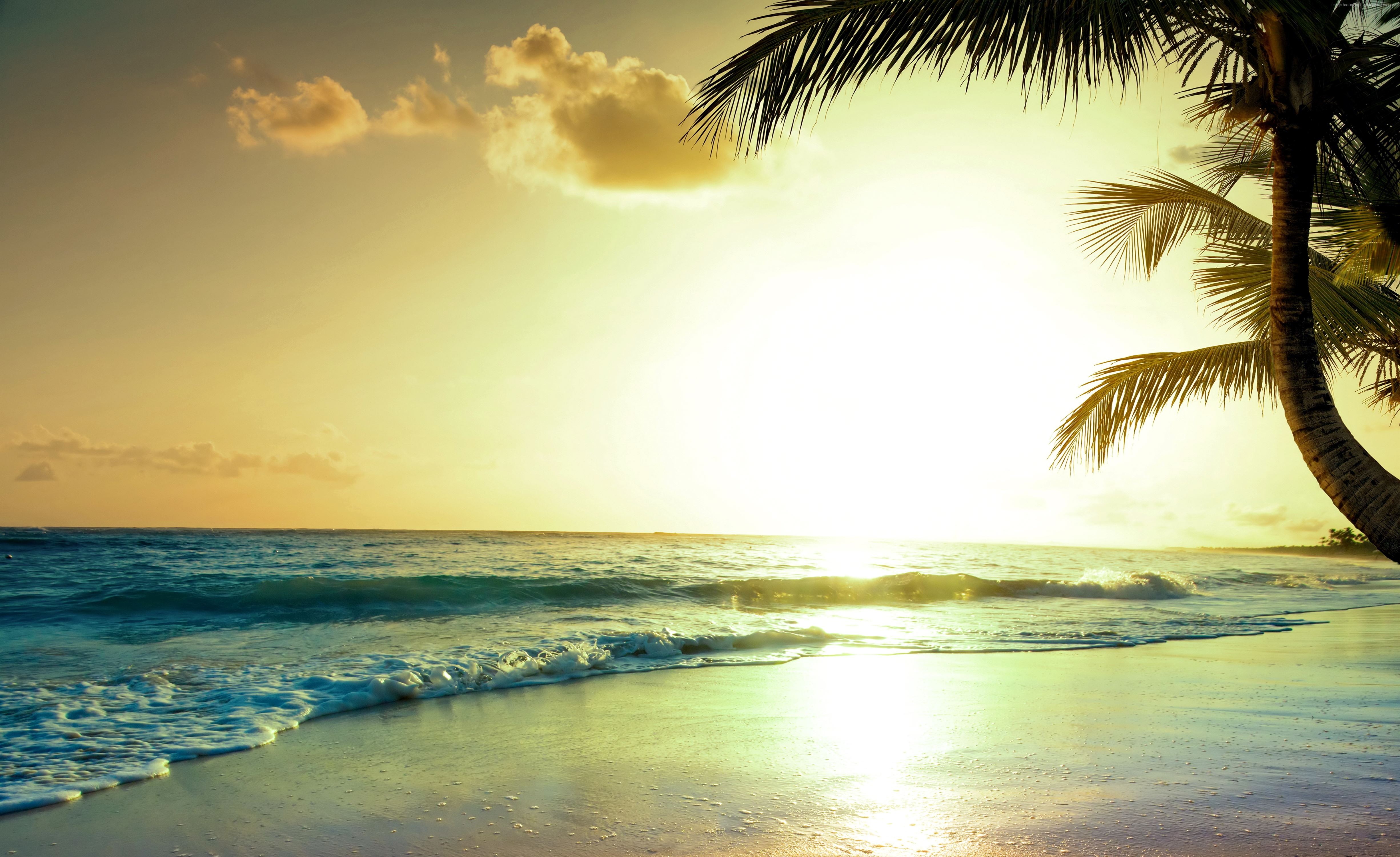 5k, tropical beach, 4k, sunset, paradise Gallery HD Wallpaper