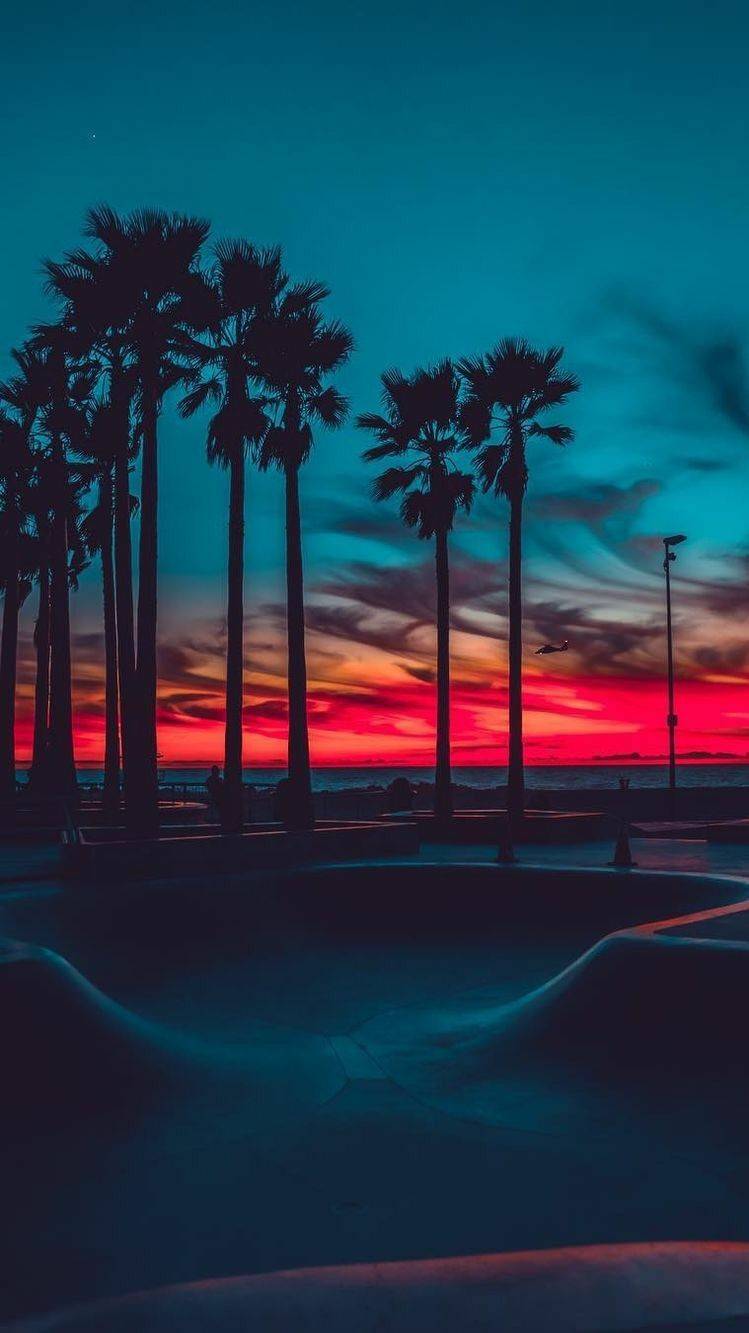 Sunset Paradise IPhone Wallpaper Wallpaper, iPhone Wallpaper