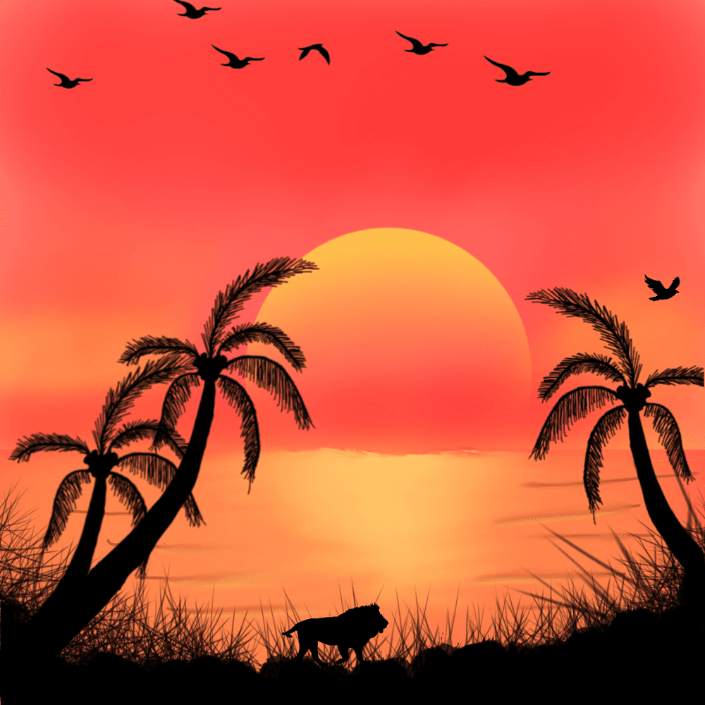 sunset Paradise paradise Islands