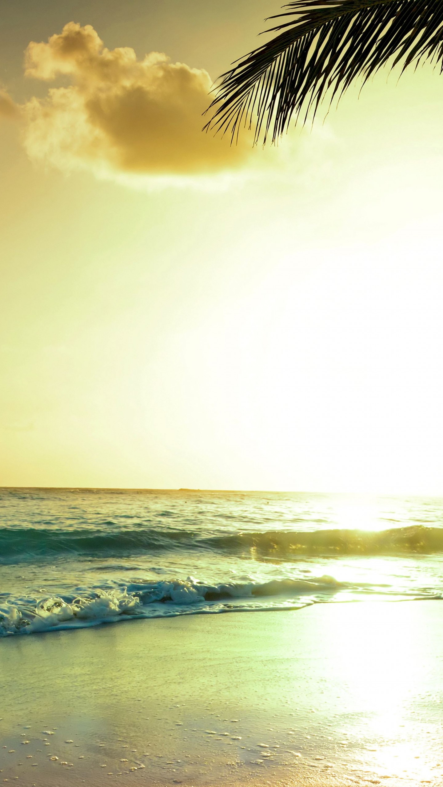 Wallpaper tropical beach, 5k, 4k wallpaper, paradise, sunset, Travel
