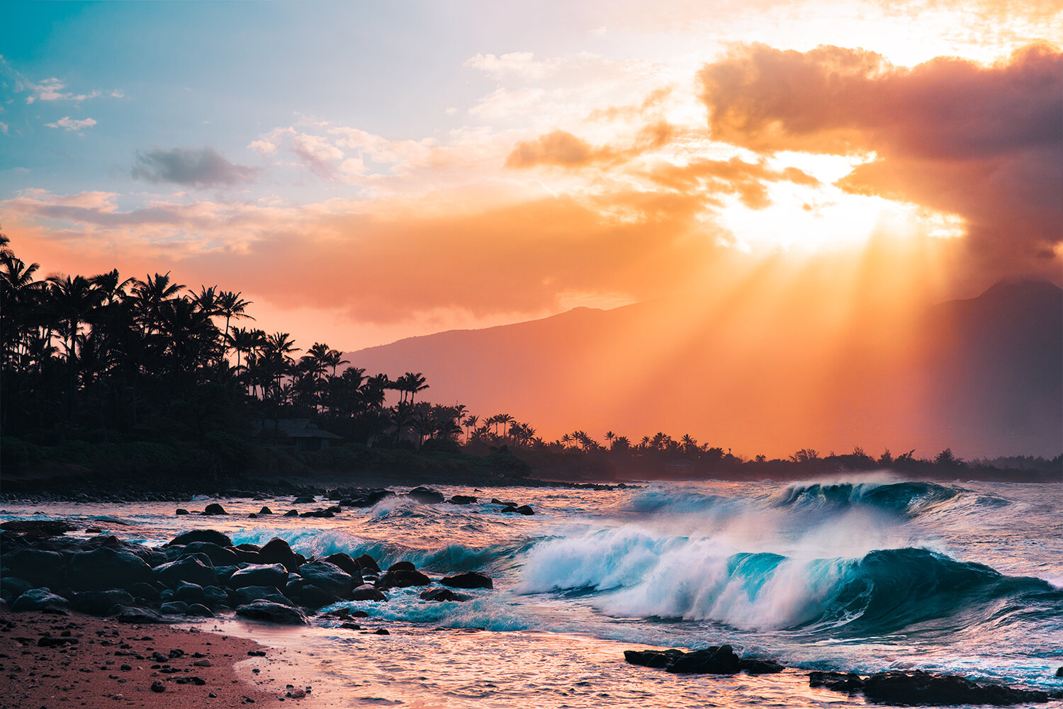Sunset Paradise Image