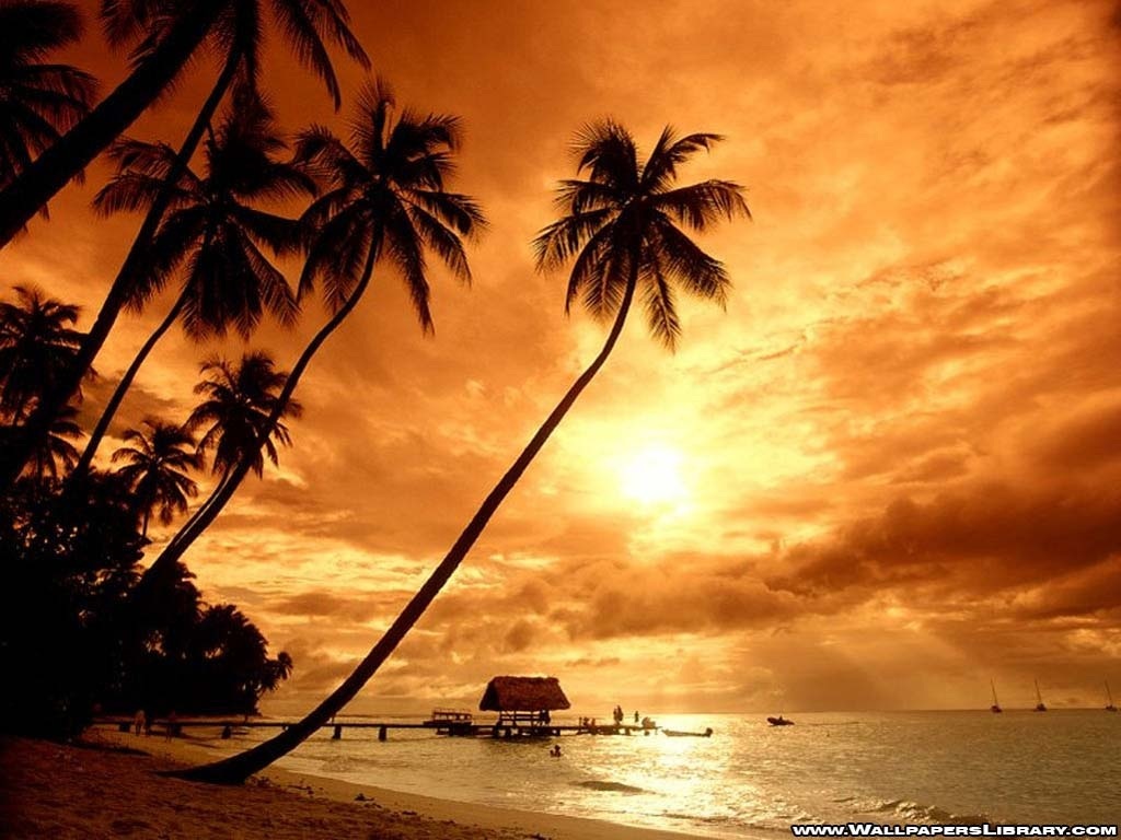 Tropical Beach Paradise Sunset Wallpaper
