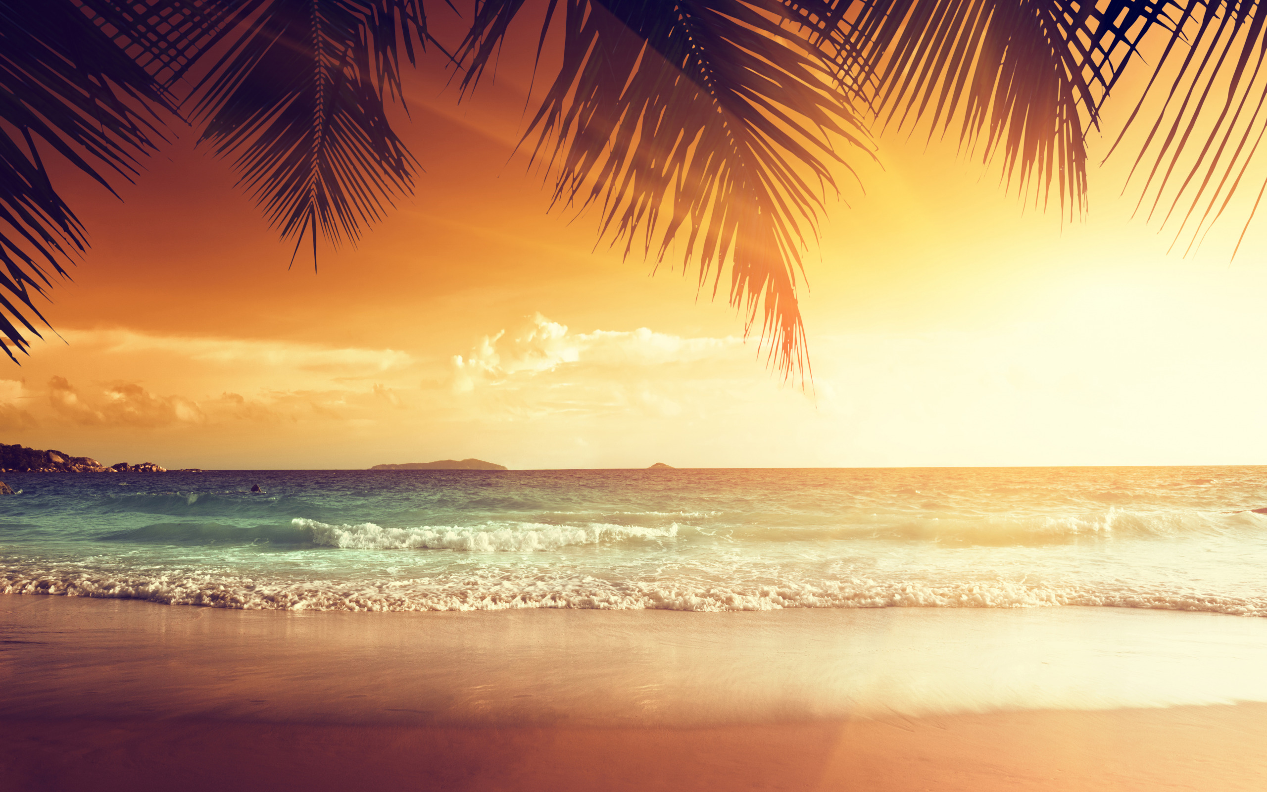 Download wallpaper sand, sea, beach, sunset, tropics, palm trees, shore, summer, beach, sea, ocean, coast, sunset, sand, paradise, tropical, section nature in resolution 2560x1600