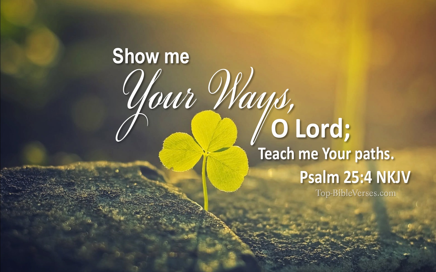 Psalm 25:4 NKJV Inspirational Bible Verse Image
