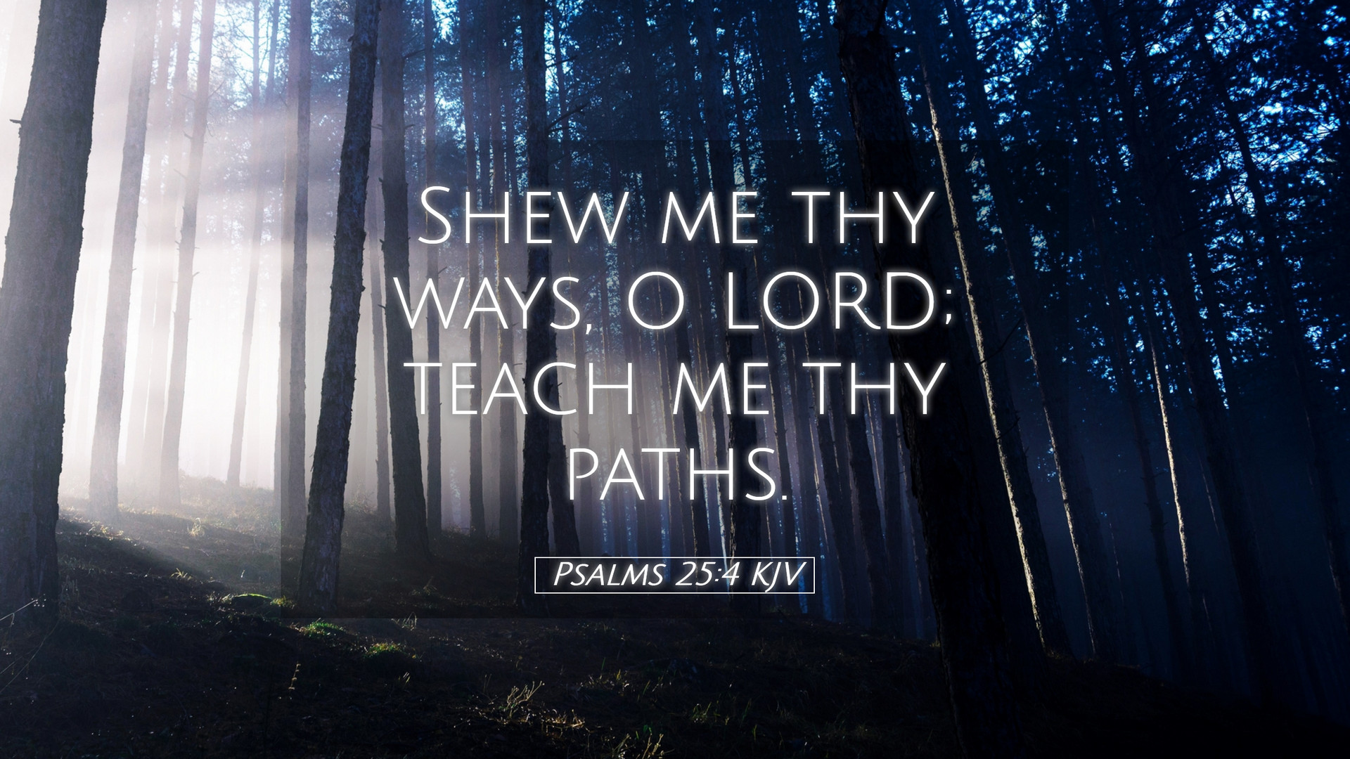 Psalms 25:4 KJV Desktop Wallpaper me thy ways, O LORD; teach me thy