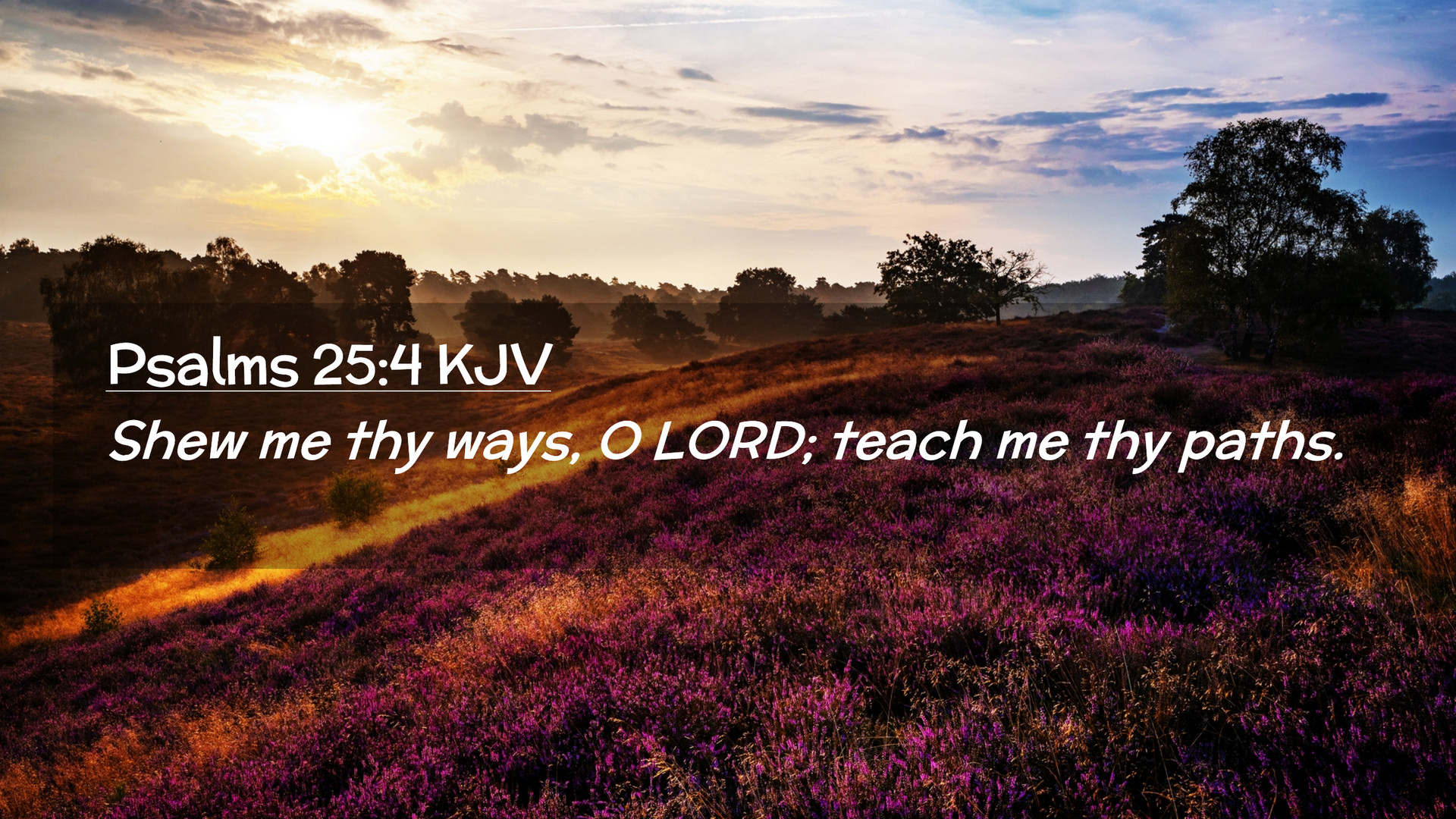 Psalms 25:4 KJV Desktop Wallpaper me thy ways, O LORD; teach me thy