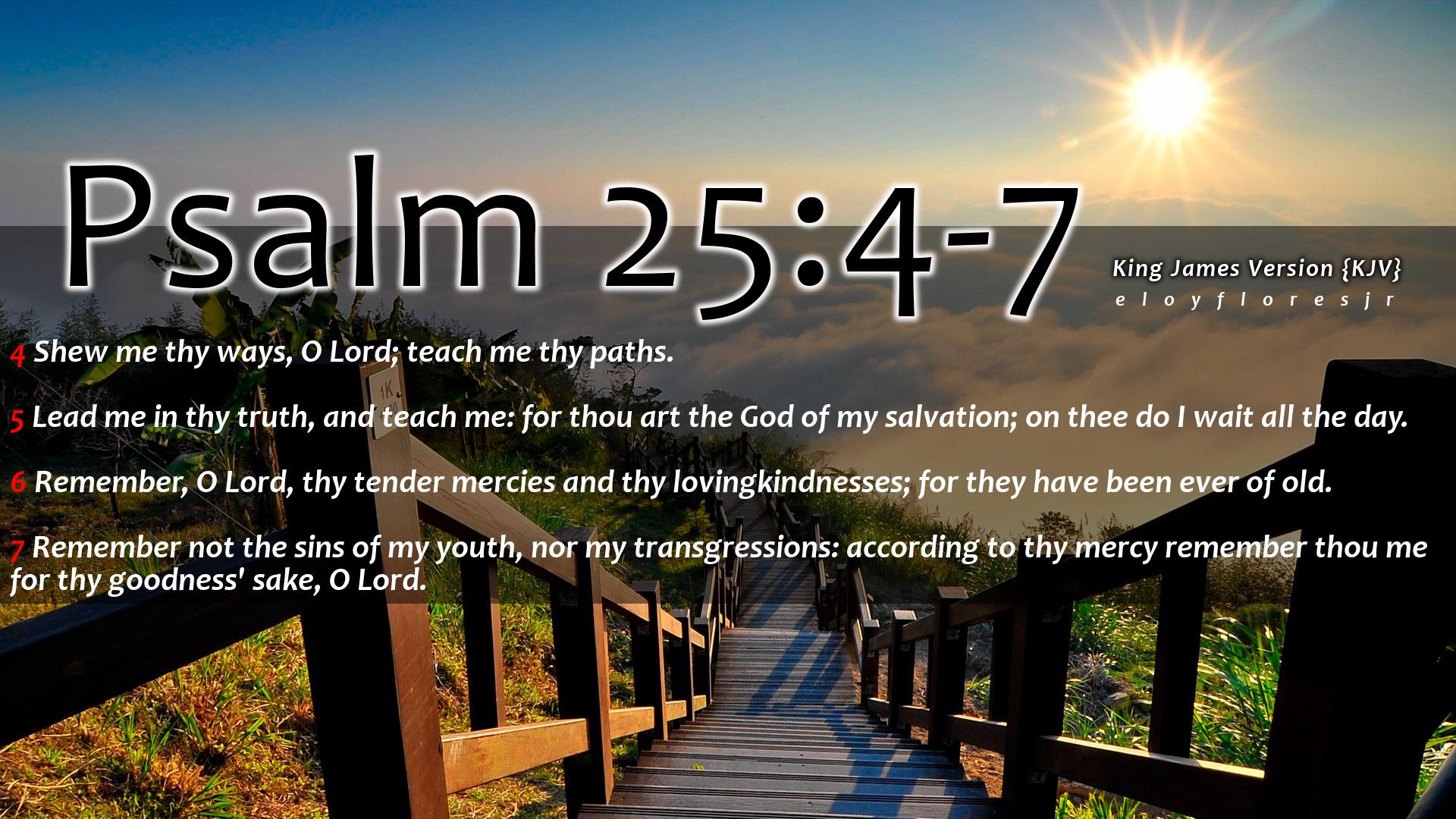 Bible Verse Psalm 25:4 7. Psalm 25, Psalms, Bible Verse Picture