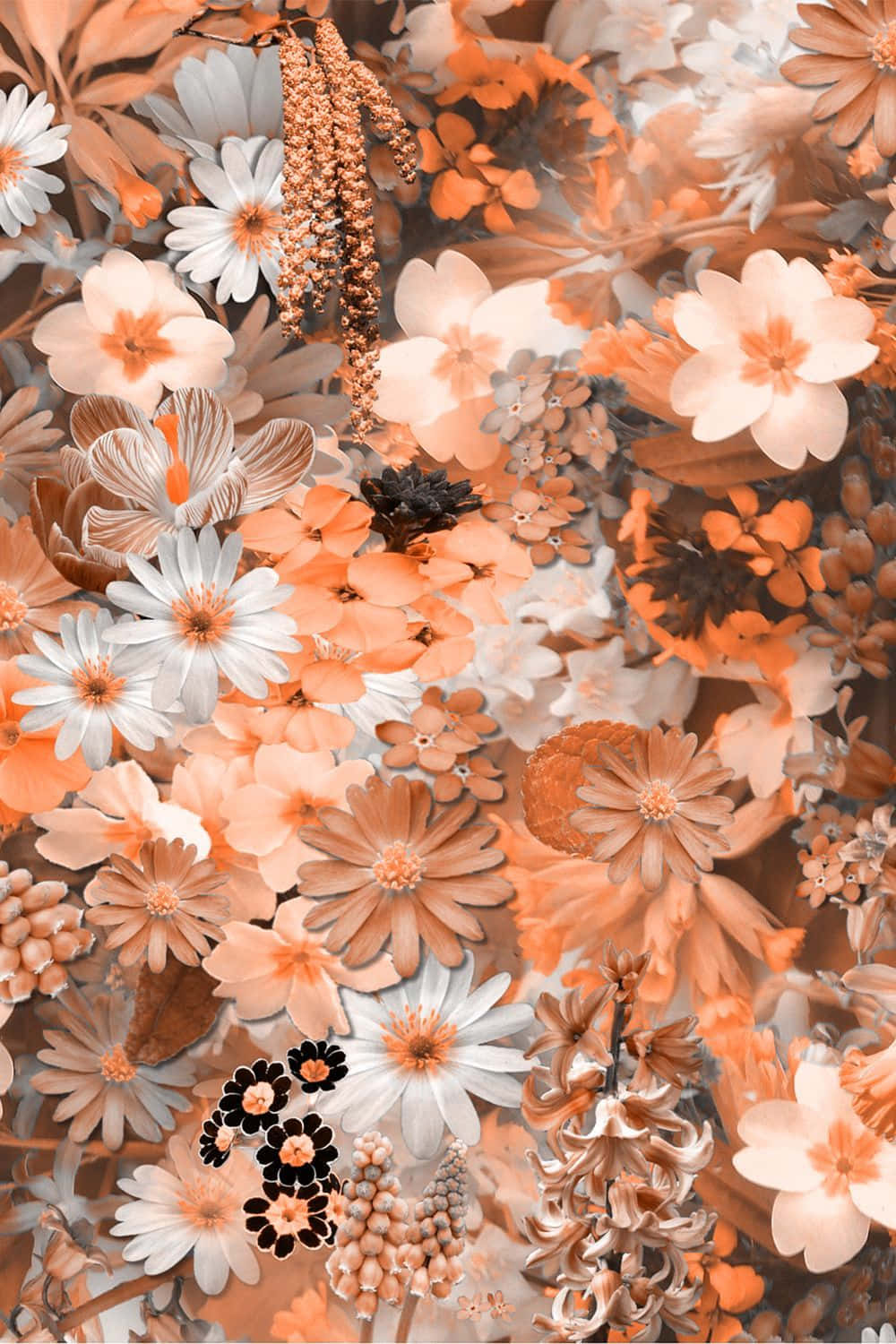 Download A White And Orange Flower Pattern Wallpaper