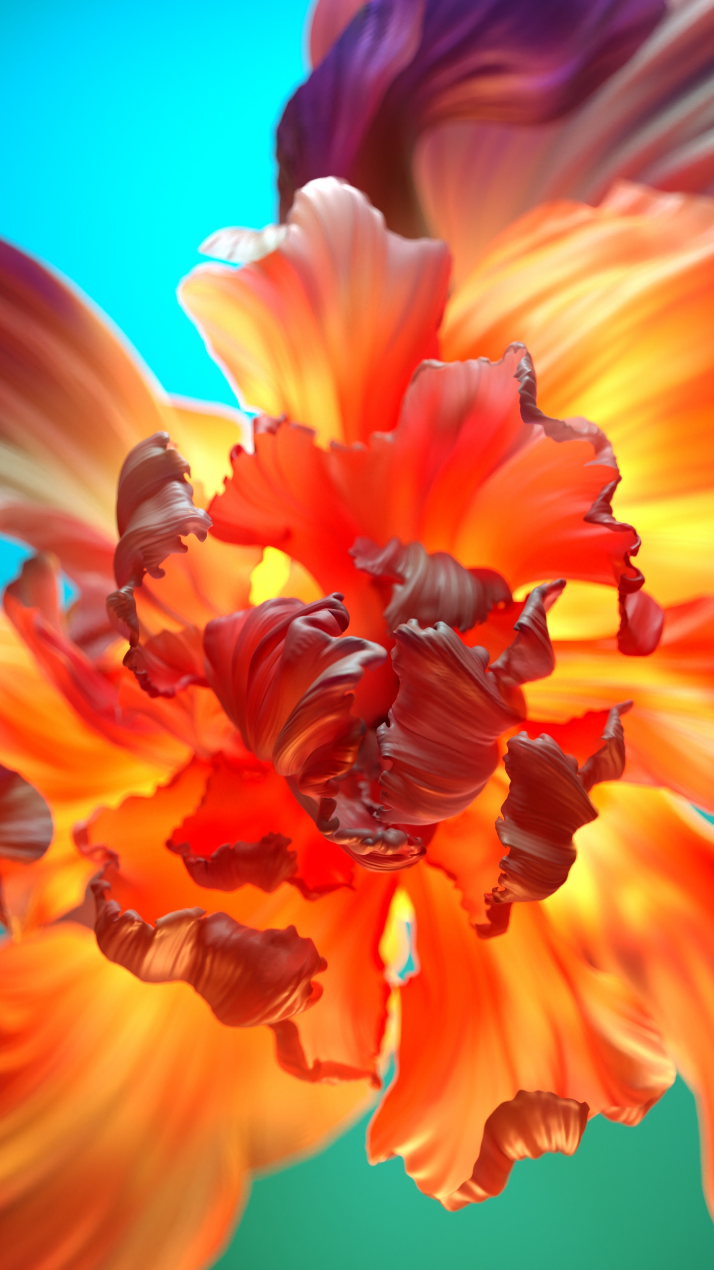 Orange flower Wallpaper 4K, Floral Background, Flowers