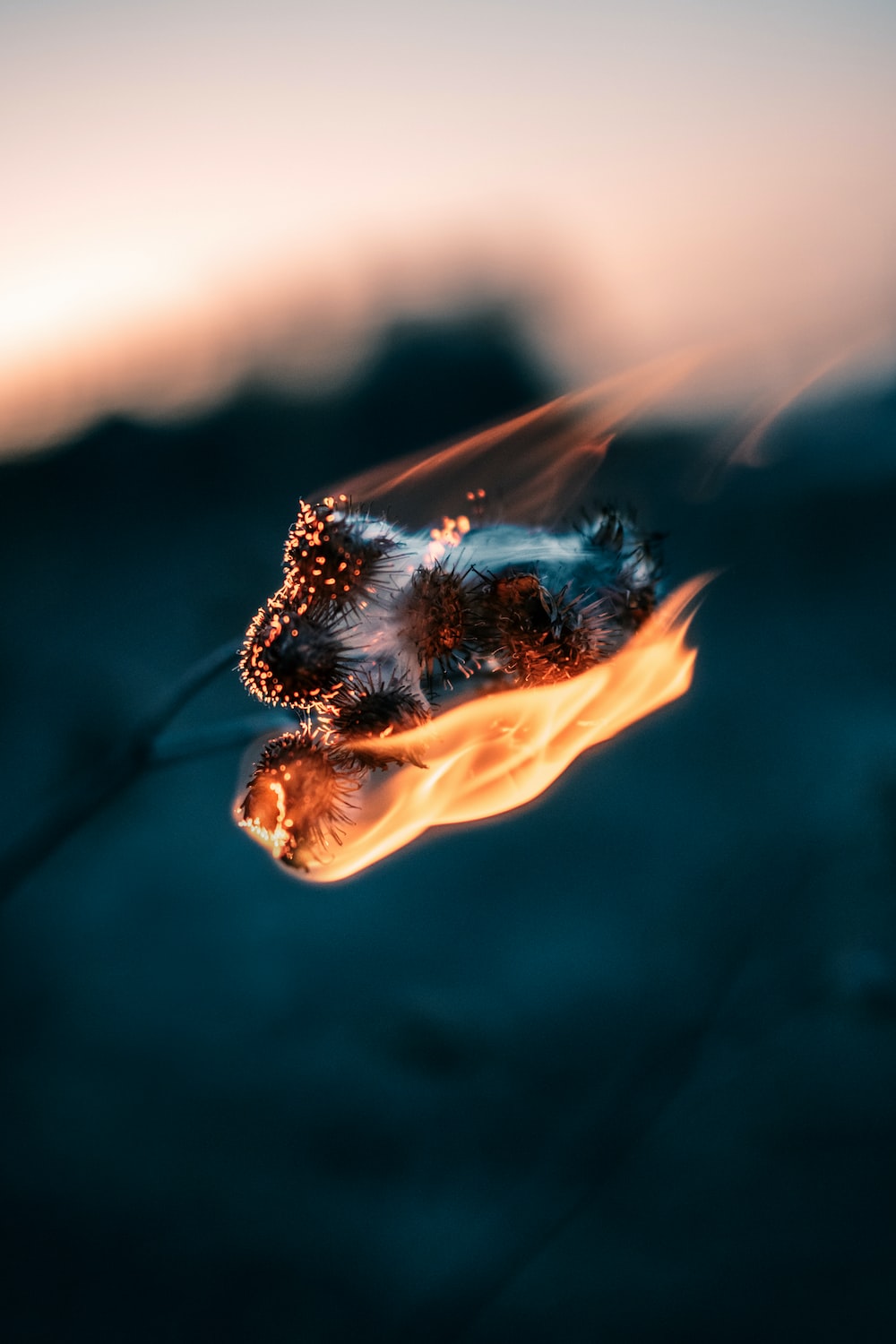 Brown and black butterfly on orange flame photo