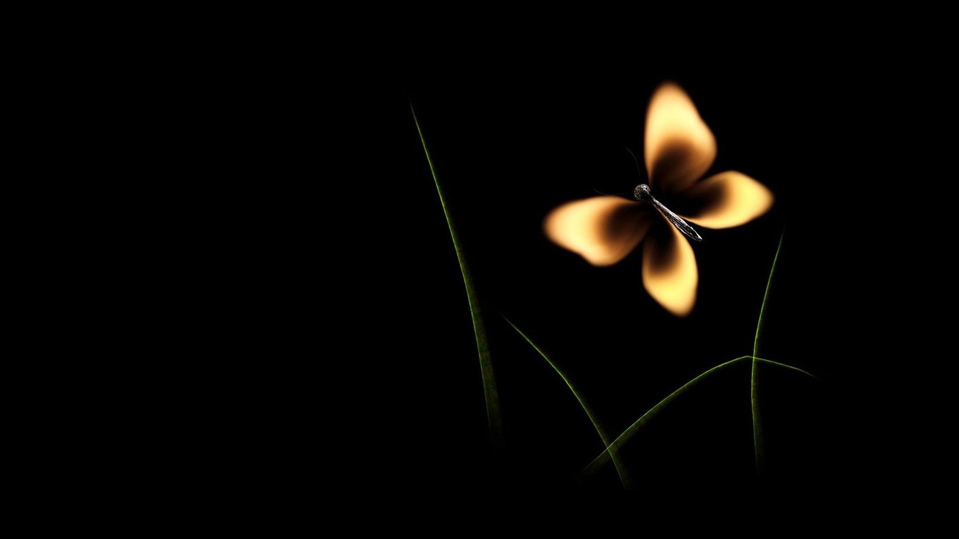 Free download butterfly fire match black background HD wallpaper [1920x1080] for your Desktop, Mobile & Tablet. Explore Butterfly Black Background. Black Butterfly Wallpaper, Butterfly Wallpaper, Butterfly Background