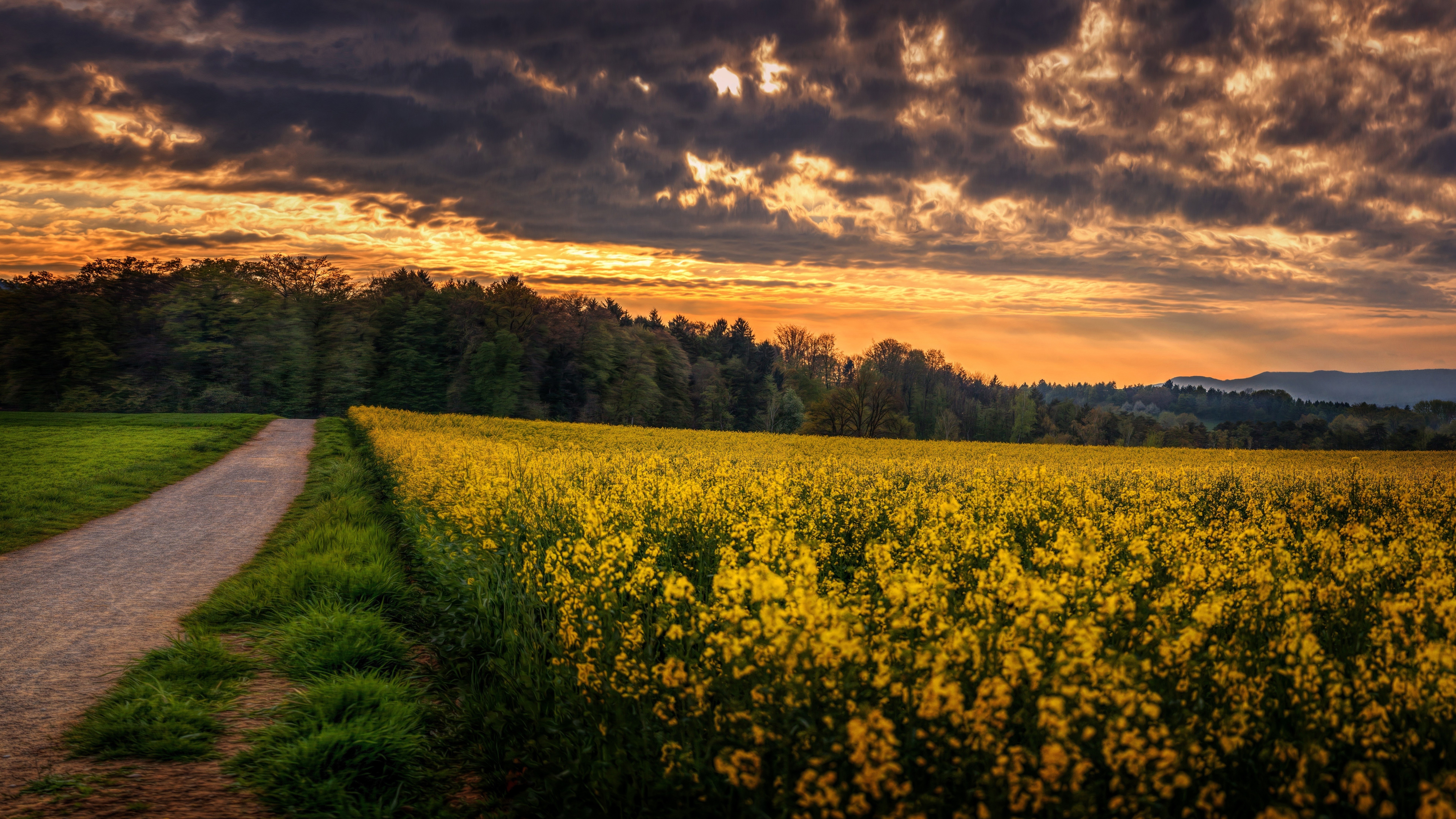 3840x2138 meadows 4k hd desktop background wallpaper