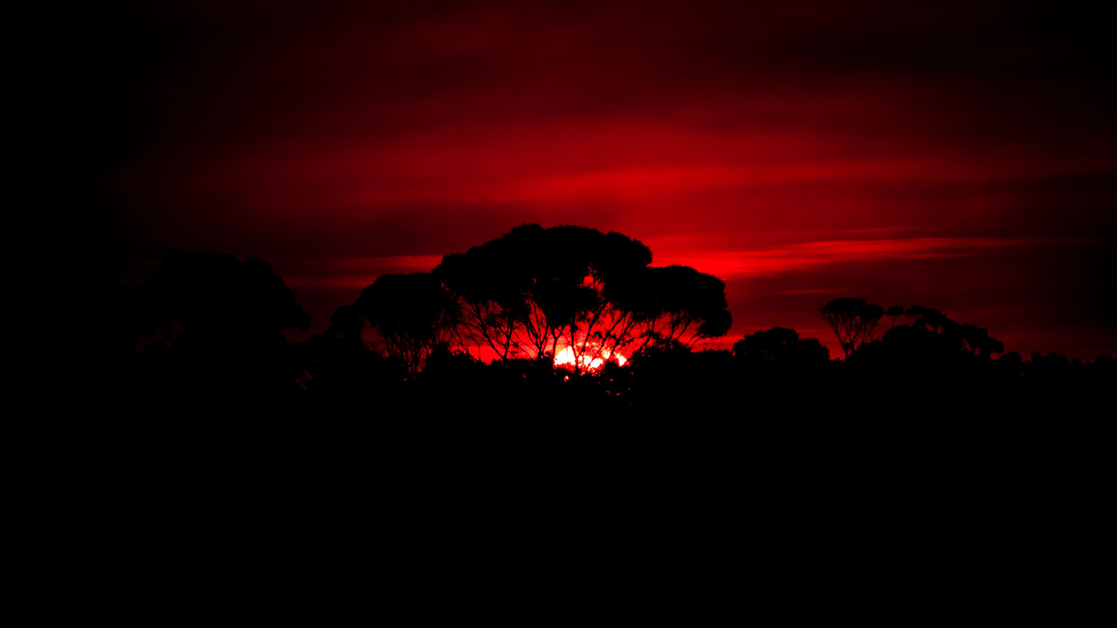 Download wallpaper 3840x2160 tree, silhouette, sunset, dark, nature 4k uhd 16:9 HD background